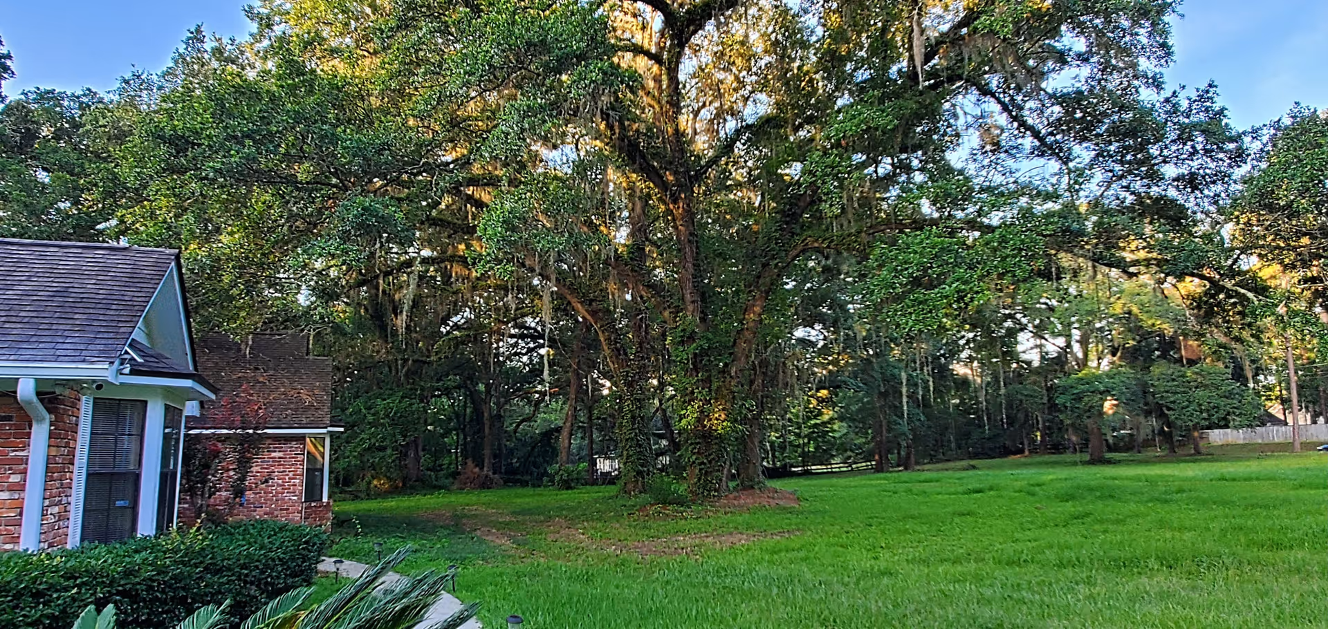 Lush green lawn with large trees beside a brick facility building.