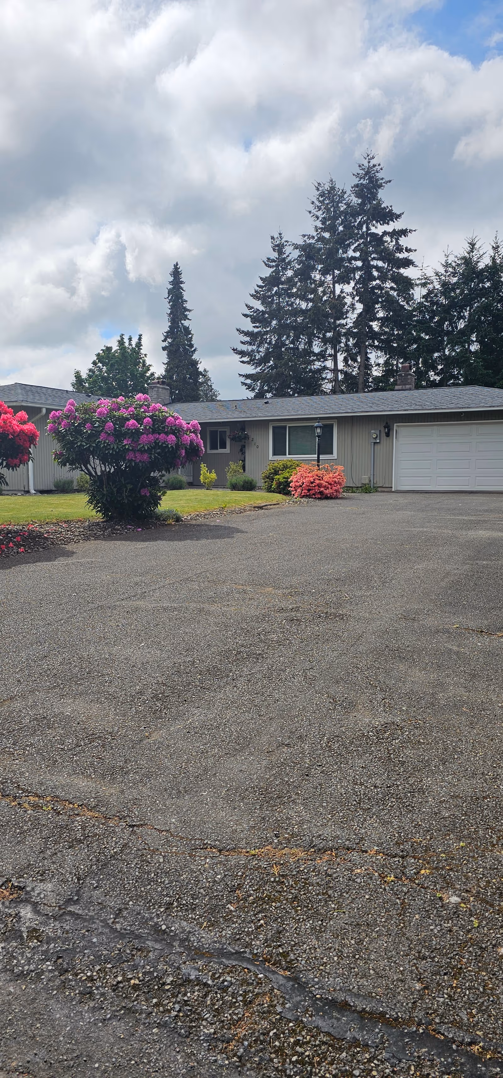 Exterior of a single-story senior living facility with driveway and flowering shrubs.