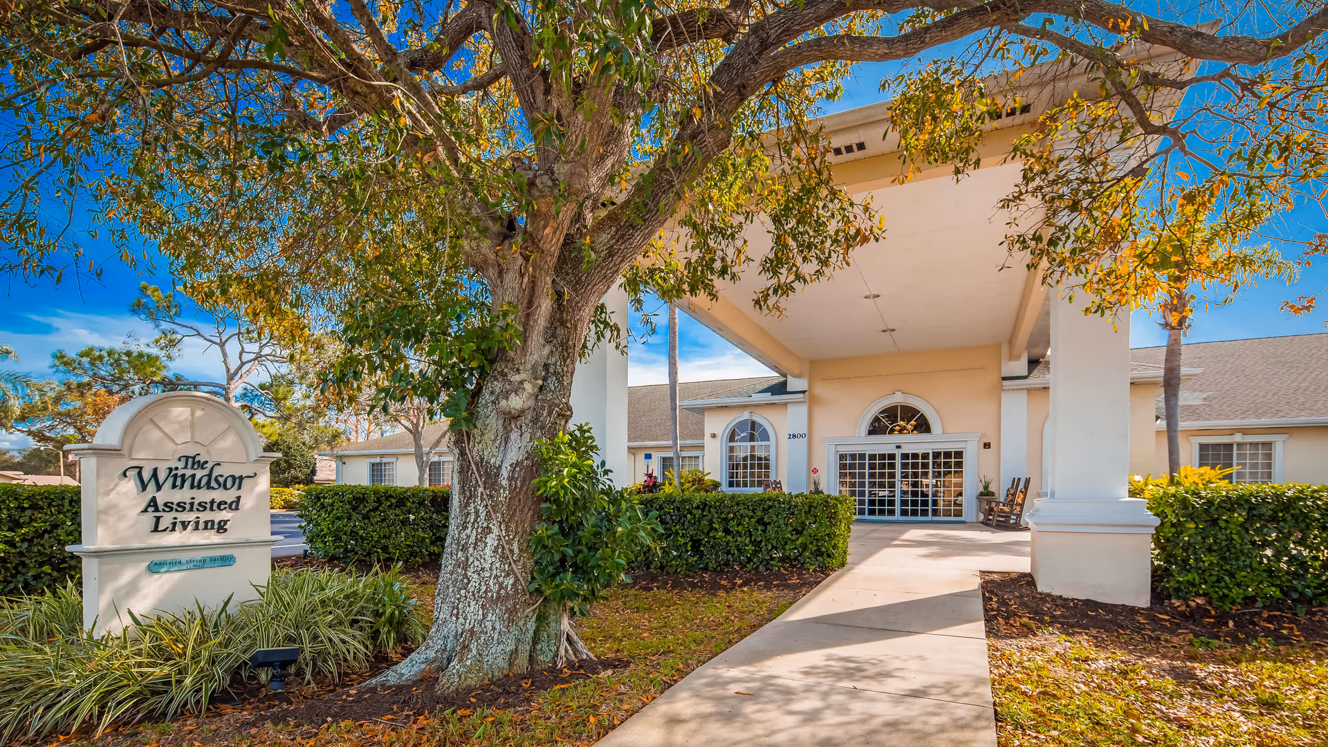 Entrance of The Windsor Assisted Living facility with a large tree in the foreground, a sign displaying the facility's name, and a covered walkway leading to the main doors of the building under a clear blue sky.