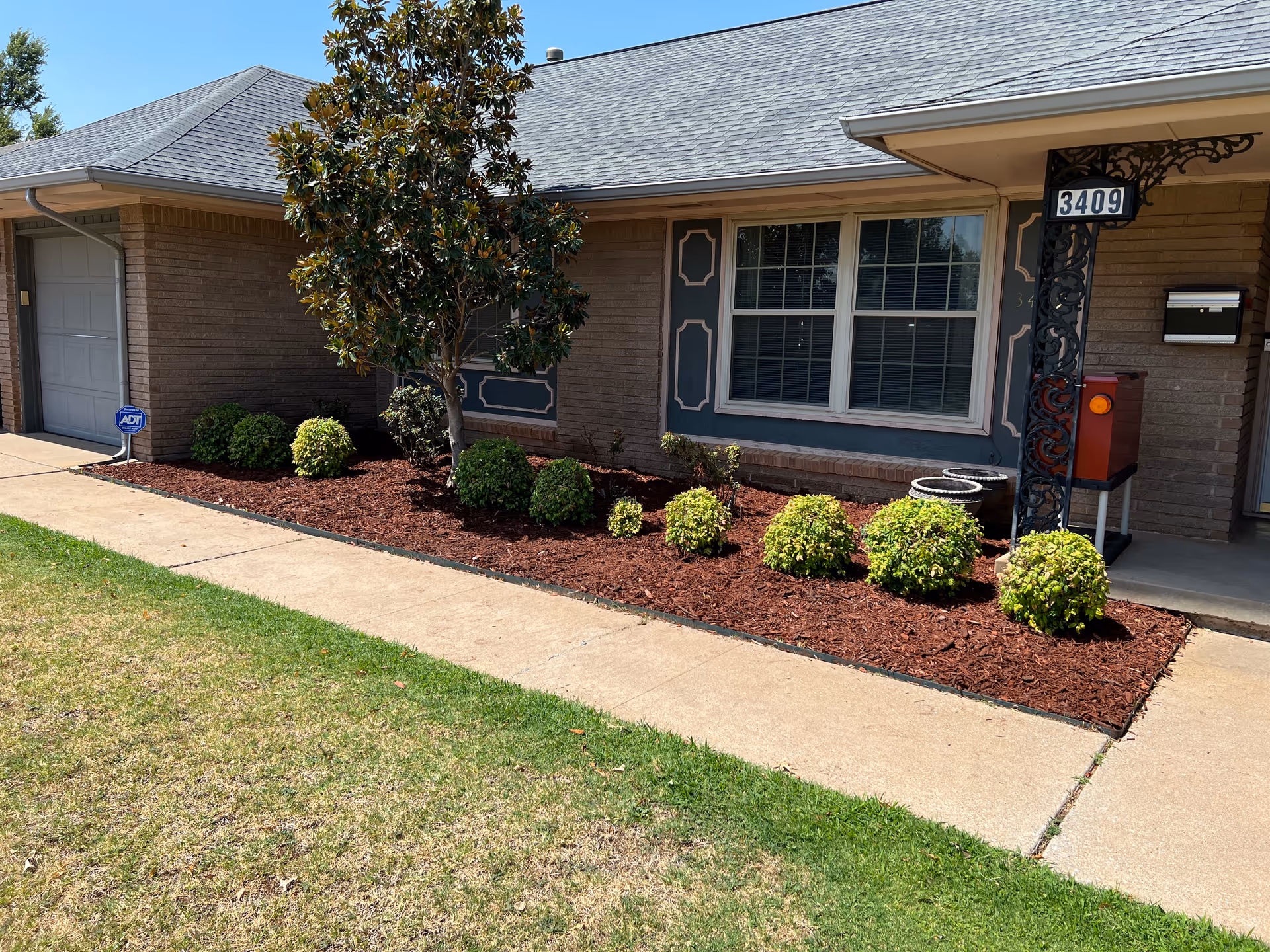 Front exterior of a single-story senior living home with shrubs and a tree.