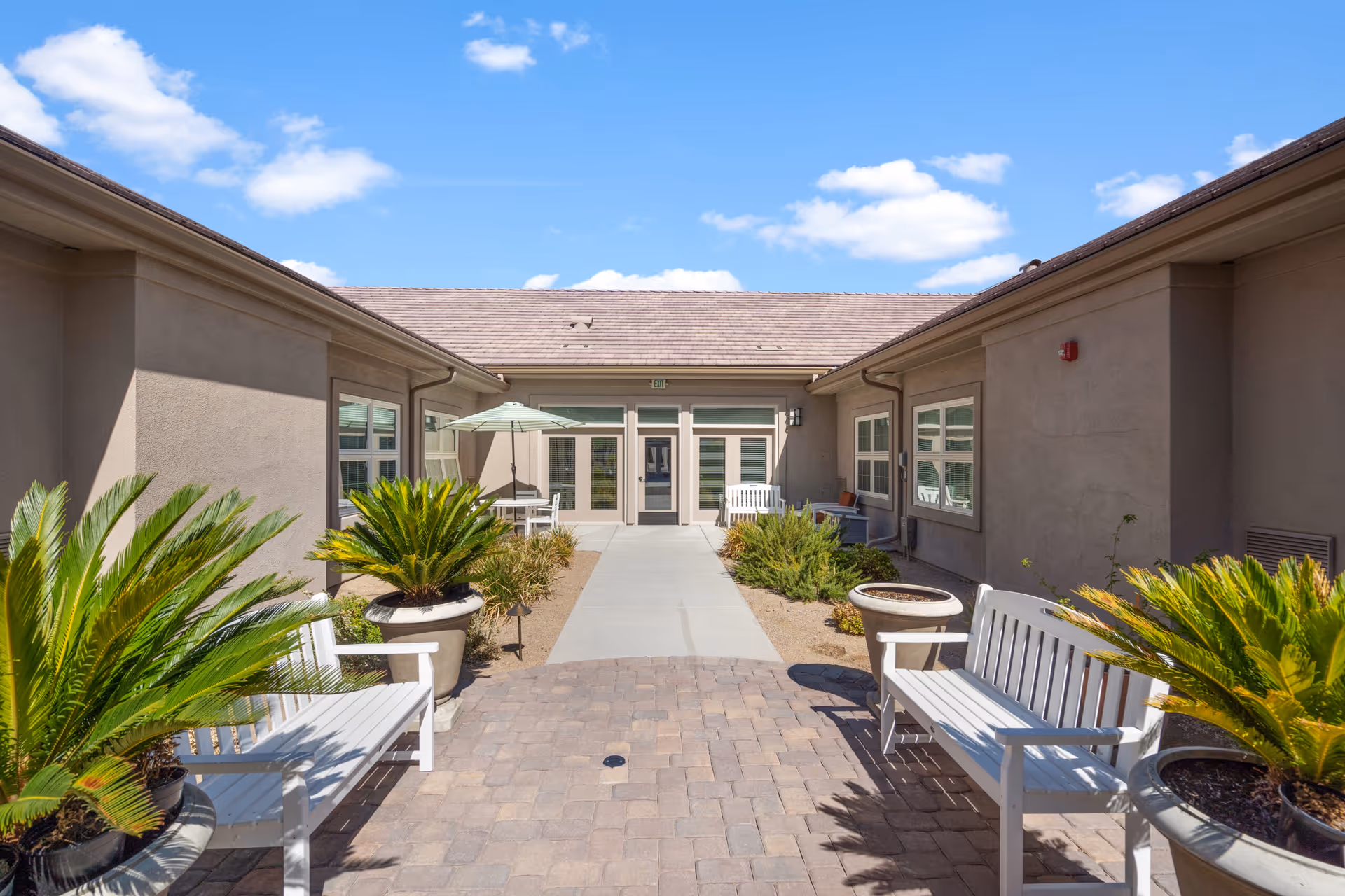Outdoor courtyard area with two white benches, potted plants, and a pathway leading to a building entrance with glass doors and windows under a clear blue sky.