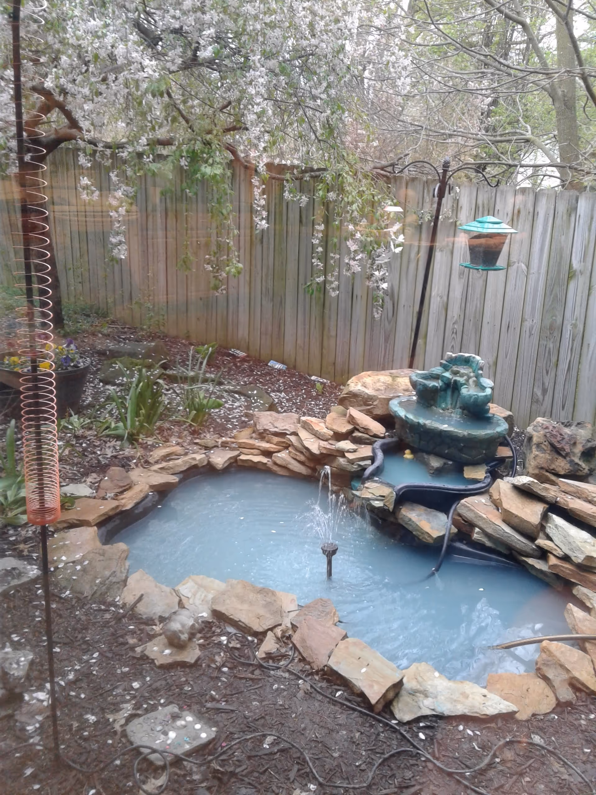 Backyard garden with a stone-bordered pond, fountain, wooden fence, and flowering tree overhead.