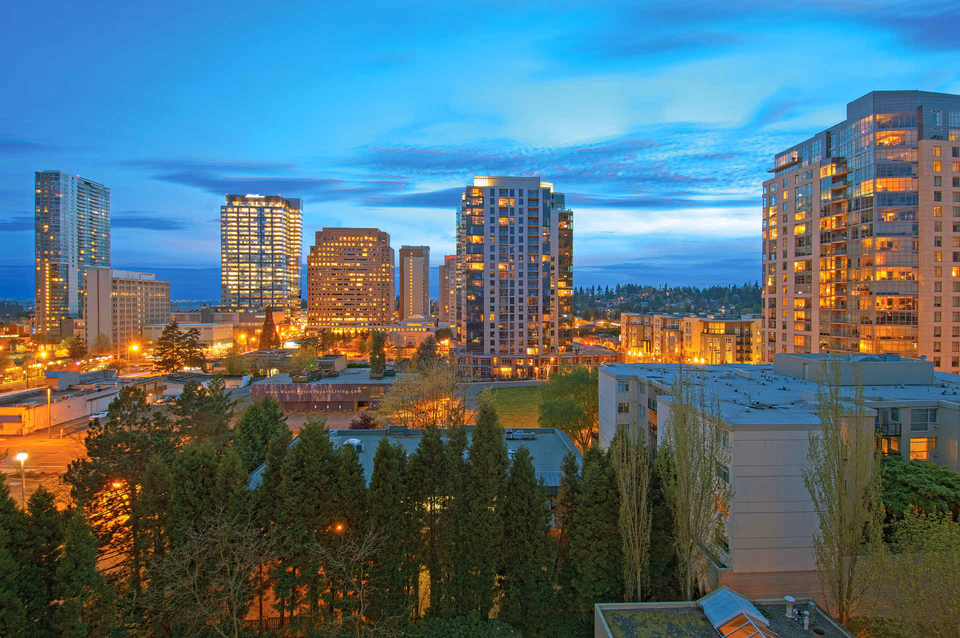 Cityscape of Bellevue high-rise buildings at dusk with trees in foreground