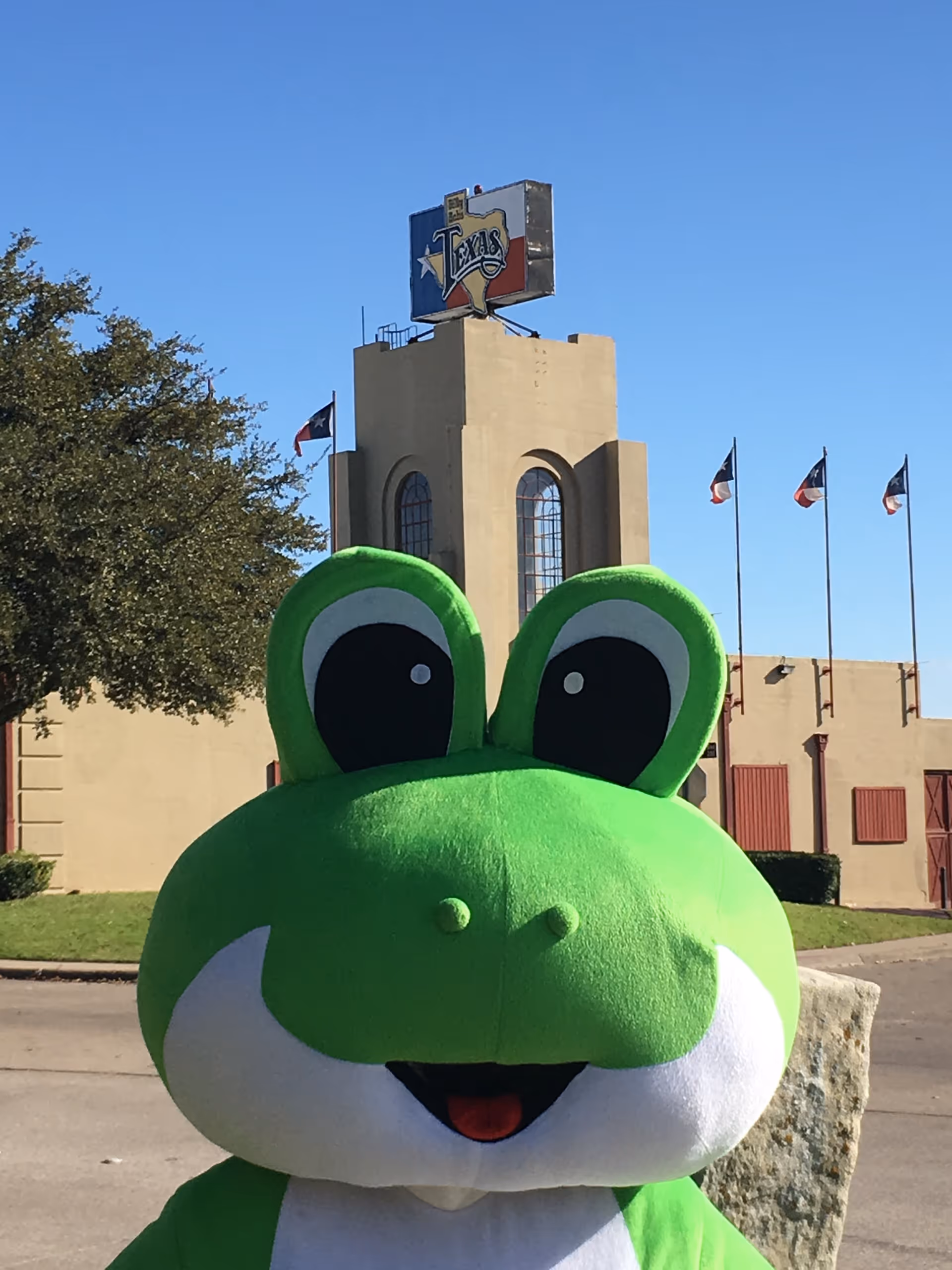 Large green frog mascot statue in foreground with a beige building and Texas flags behind.