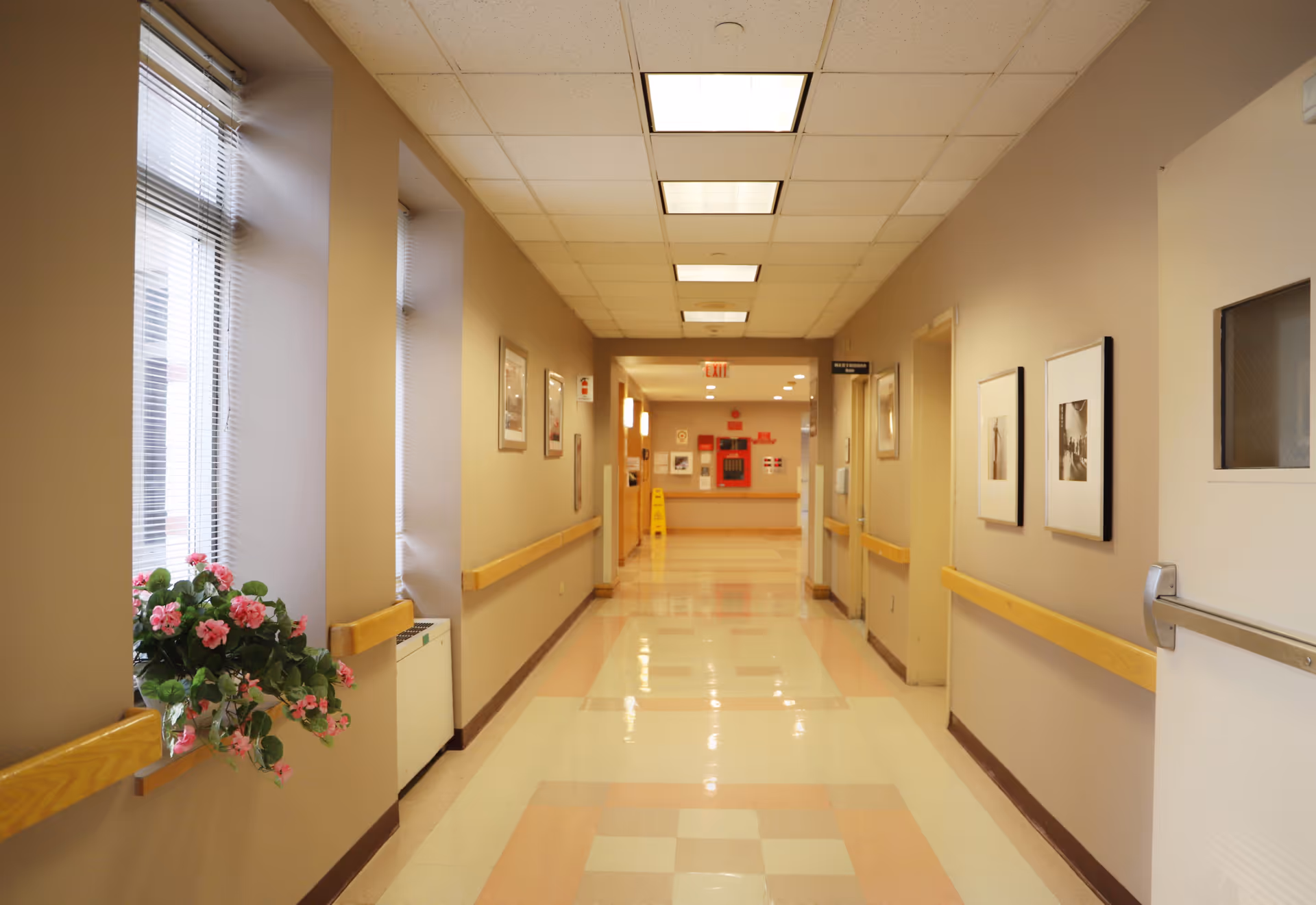 Well-lit nursing facility hallway with handrails, framed pictures, windows and a potted flower arrangement.