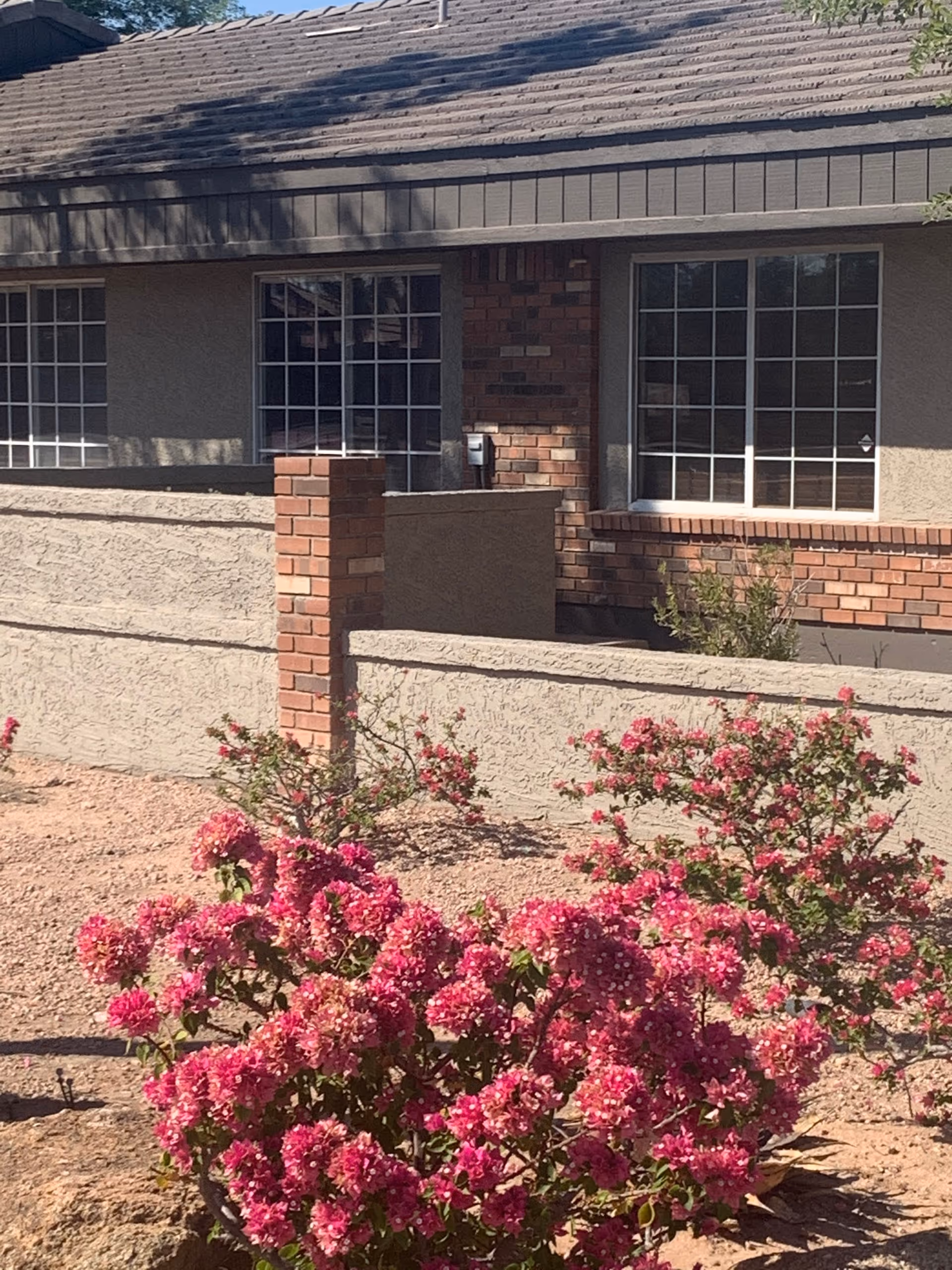 Exterior view of a building with pink flowering bushes in the foreground.