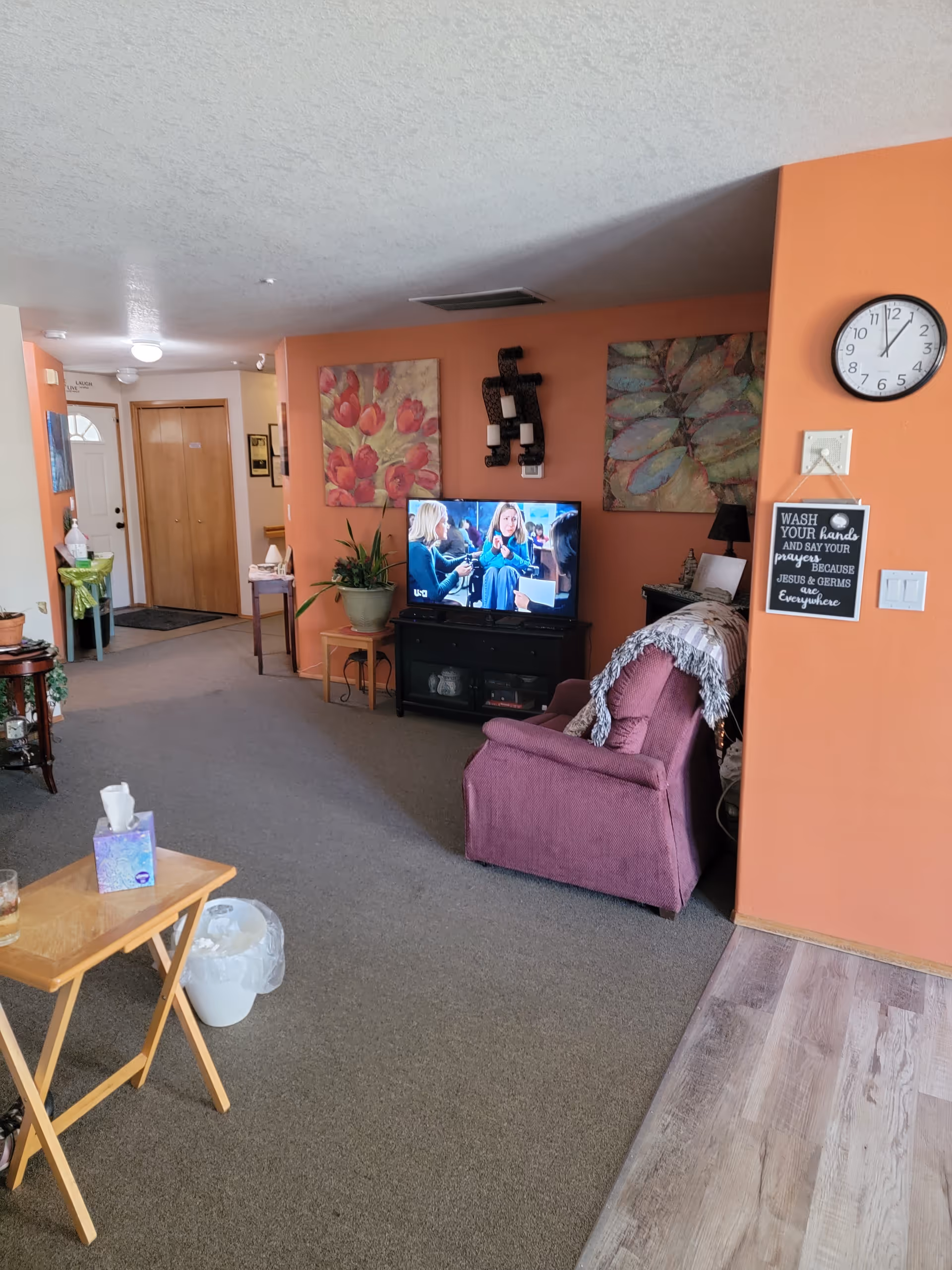 Orange-walled living room with TV, purple chair, plants, and wall art.