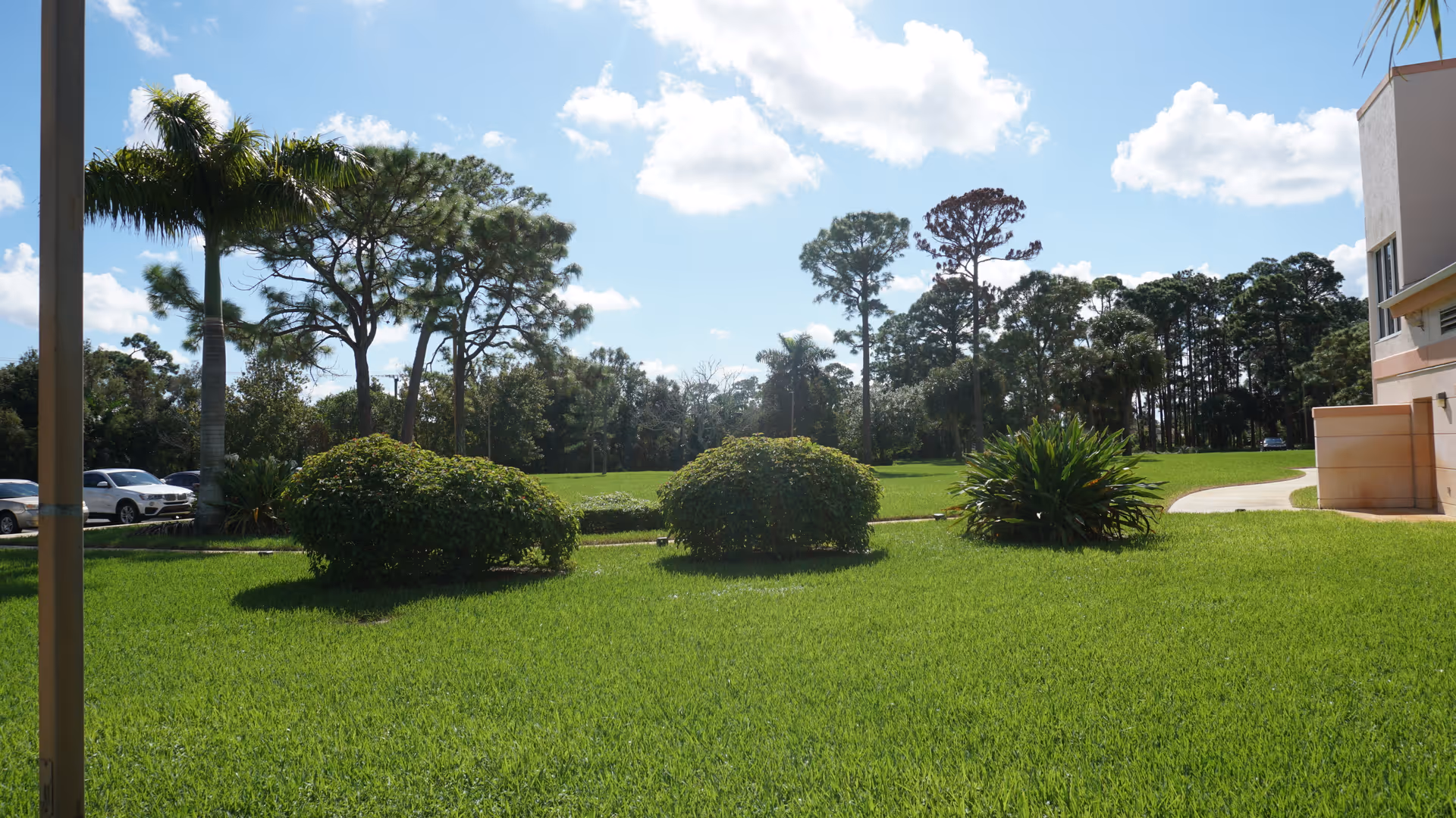 Sunlit green lawn with trimmed shrubs and palm trees, a few parked cars, and part of a building under a blue sky.