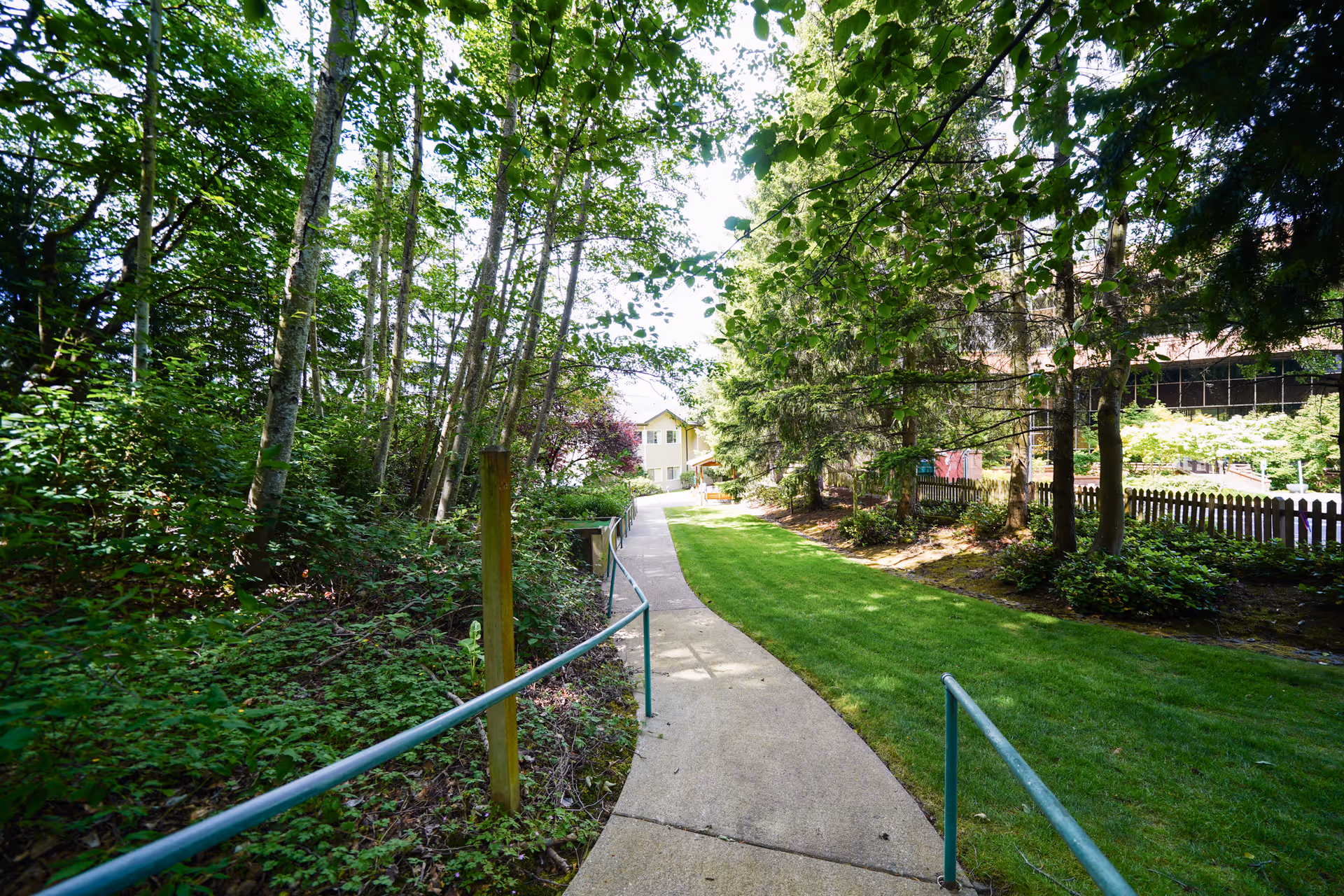 A paved walkway with metal handrails on both sides, surrounded by green grass and dense trees, leading towards a building in the background under a bright sky.