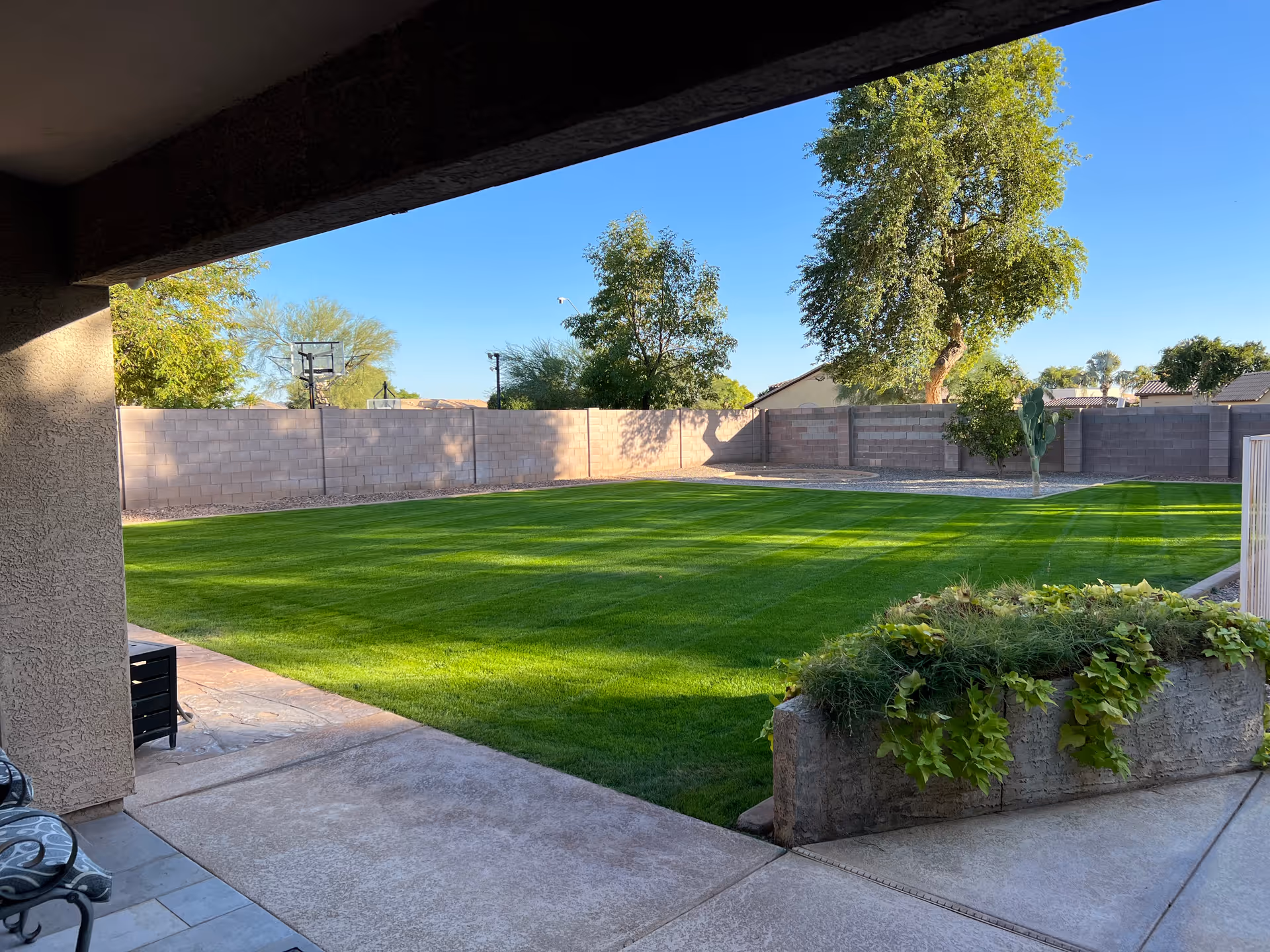 View of a well-maintained outdoor grassy area with a few trees and a concrete wall surrounding the yard, seen from a shaded patio with some chairs and a planter with green plants.