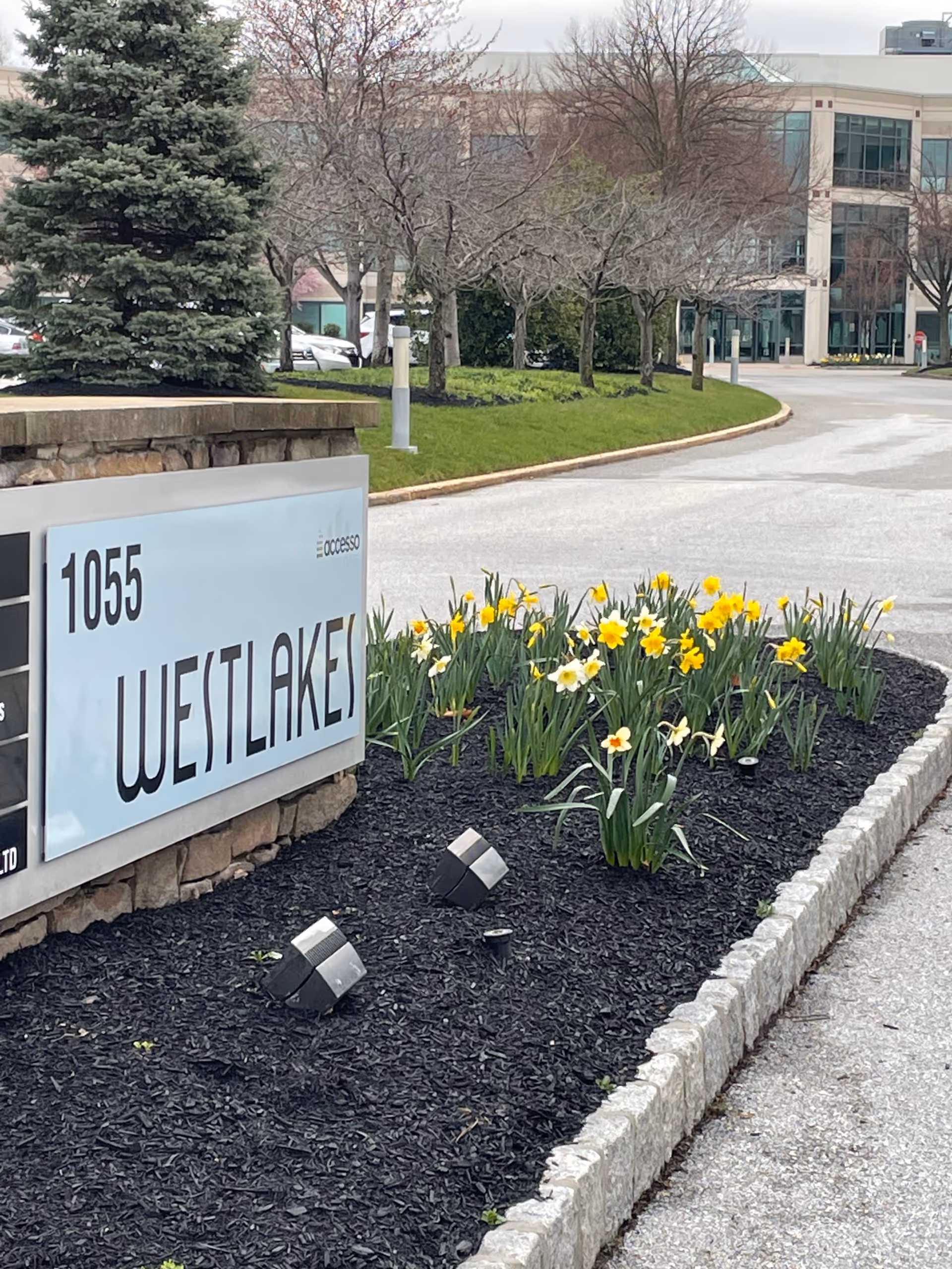 Exterior view of A Place At Home Philadelphia West sign with blooming daffodils.