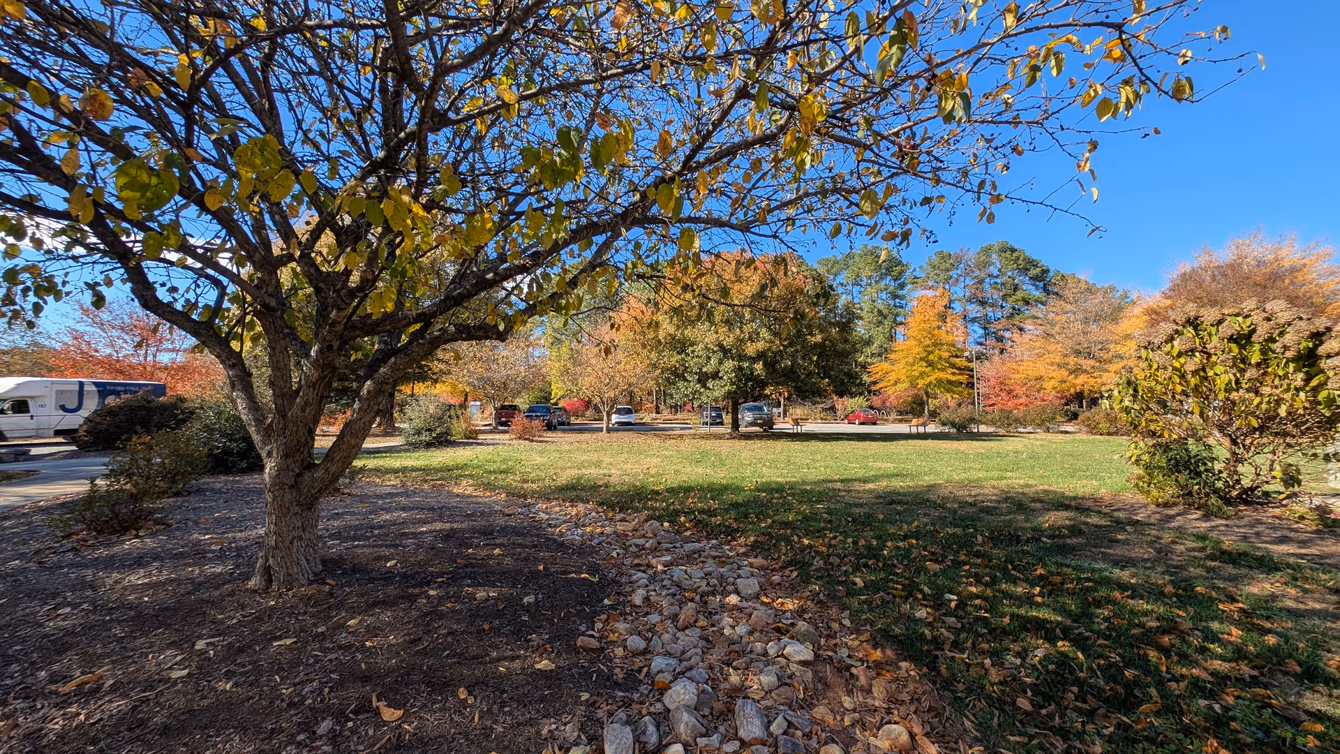 Autumn trees frame a lawn and parked cars outside the Jaba senior living campus.