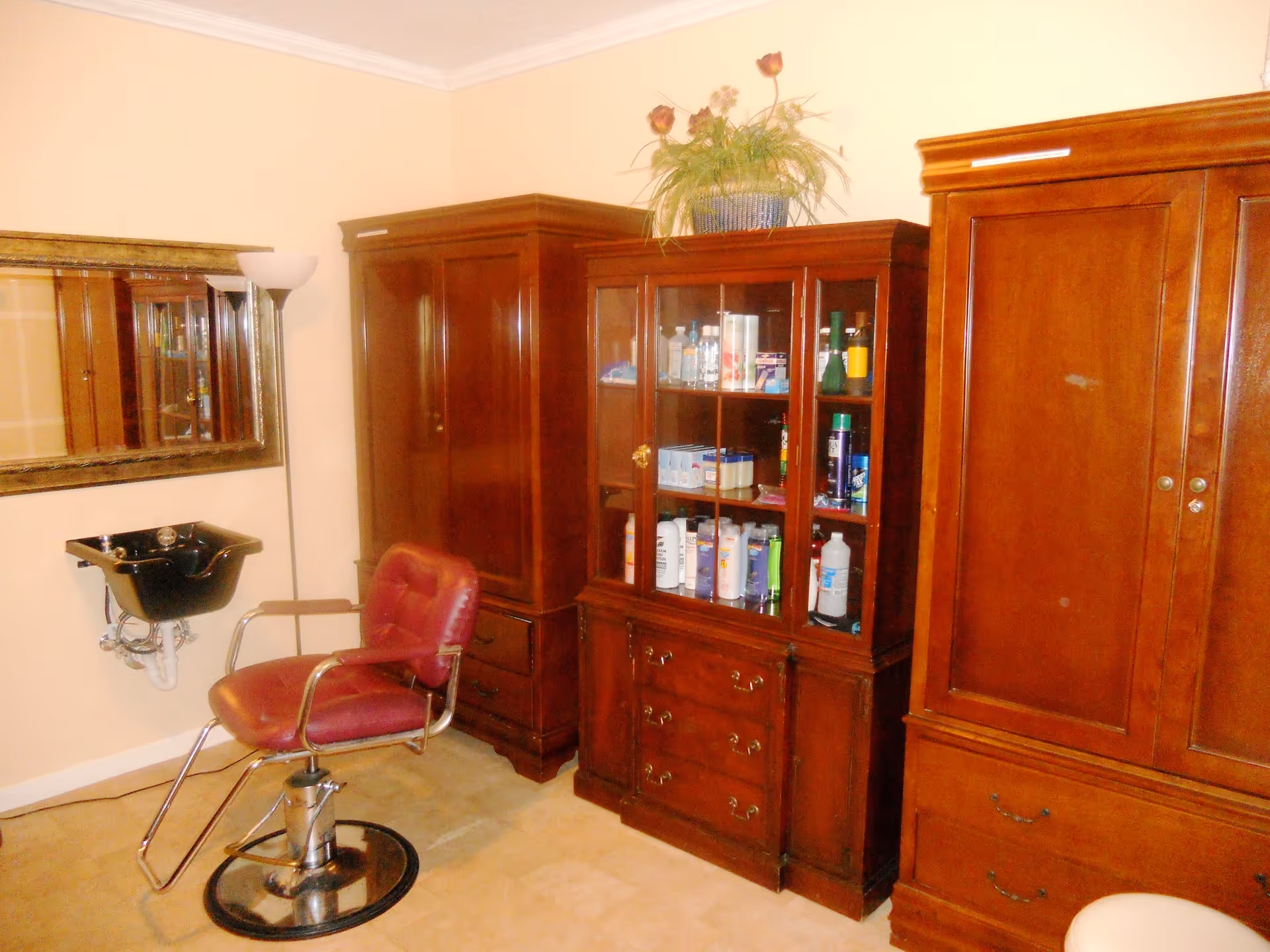 Interior room with a red salon chair in front of a black wash basin attached to the wall. There is a large mirror on the wall above the basin. The room also contains wooden cabinets, one with glass doors displaying various bottles and containers, and a potted plant on top of the cabinet.