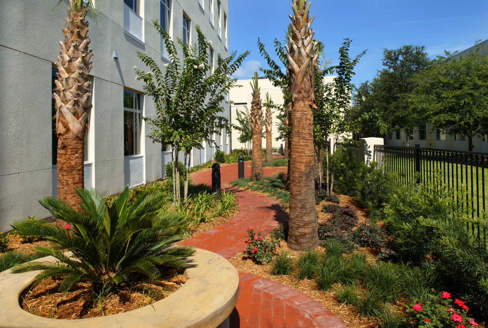Outdoor garden path with palm trees and landscaped shrubs beside a building.
