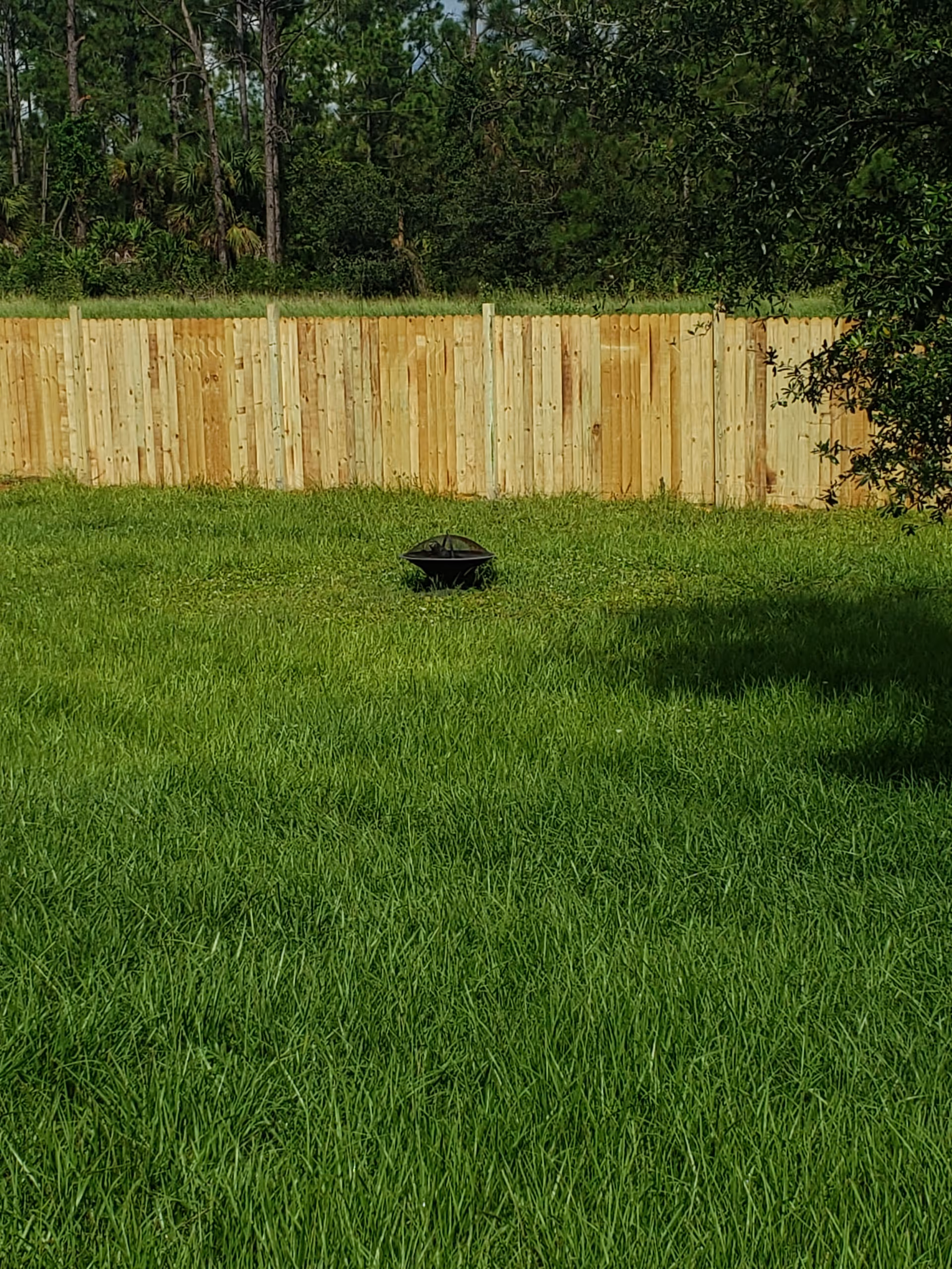 Green grassy yard with a wooden privacy fence and a small fire pit.