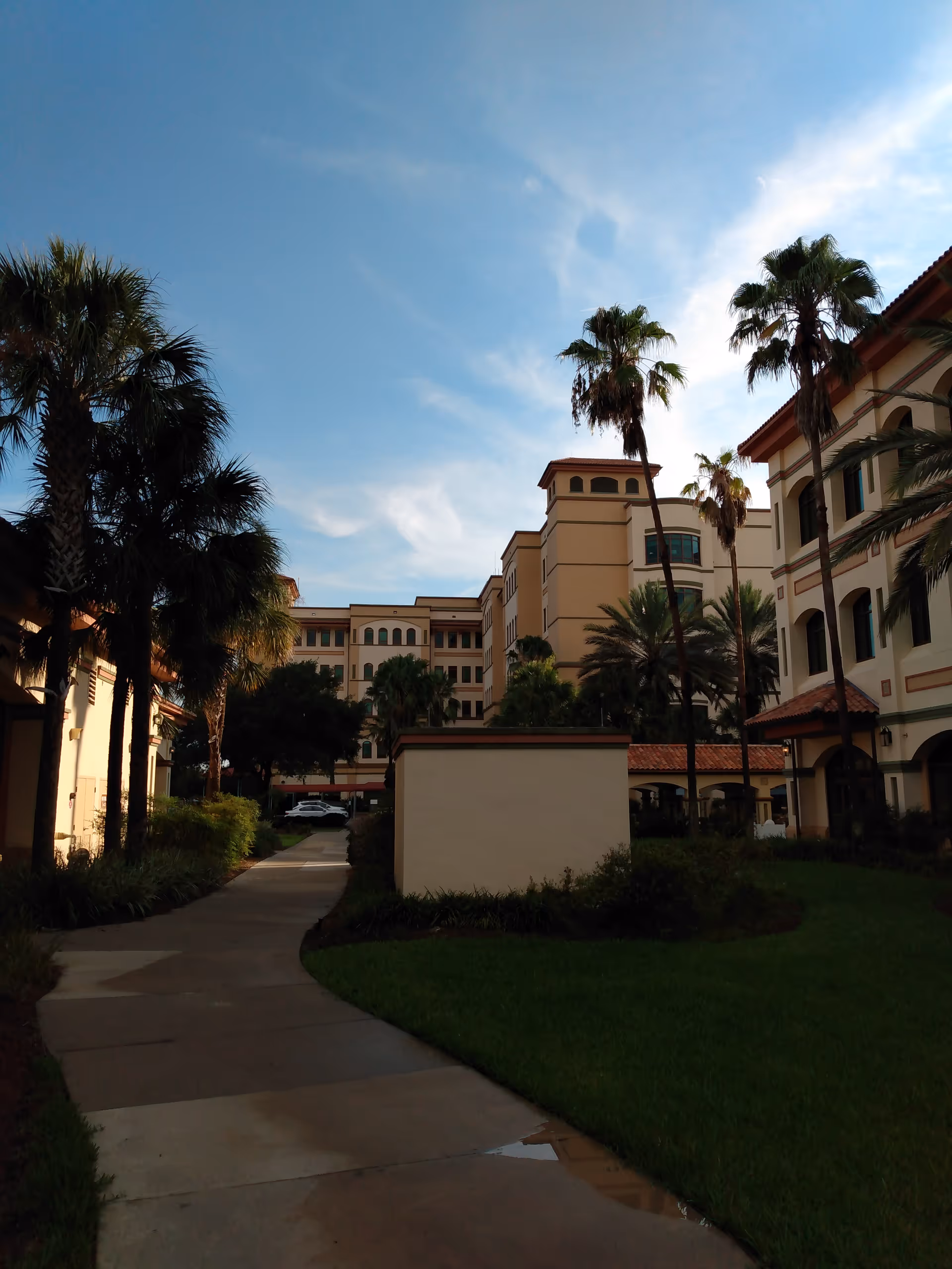 Sunlit exterior view of Freedom Pointe at the Villages Rehabilitation campus with palm trees.