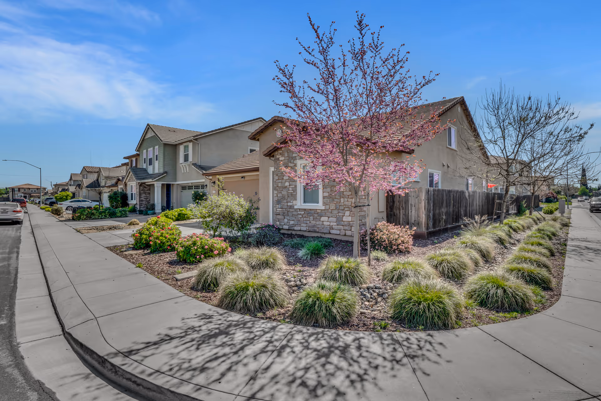 Curved sidewalk surrounds a beige senior living building with pink flowering tree and landscaping.