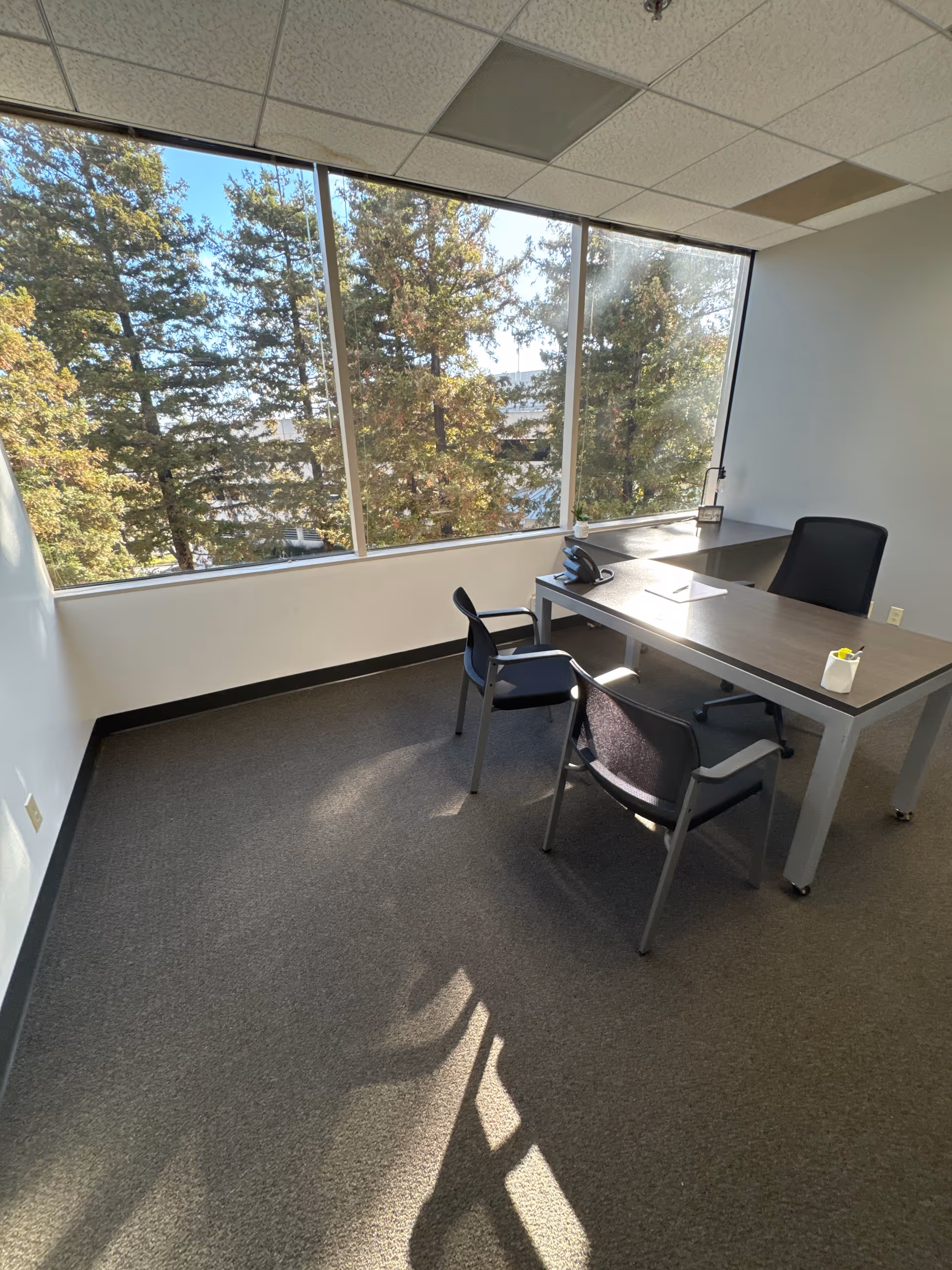 Sunlit office with a desk, chairs, and large windows overlooking trees.