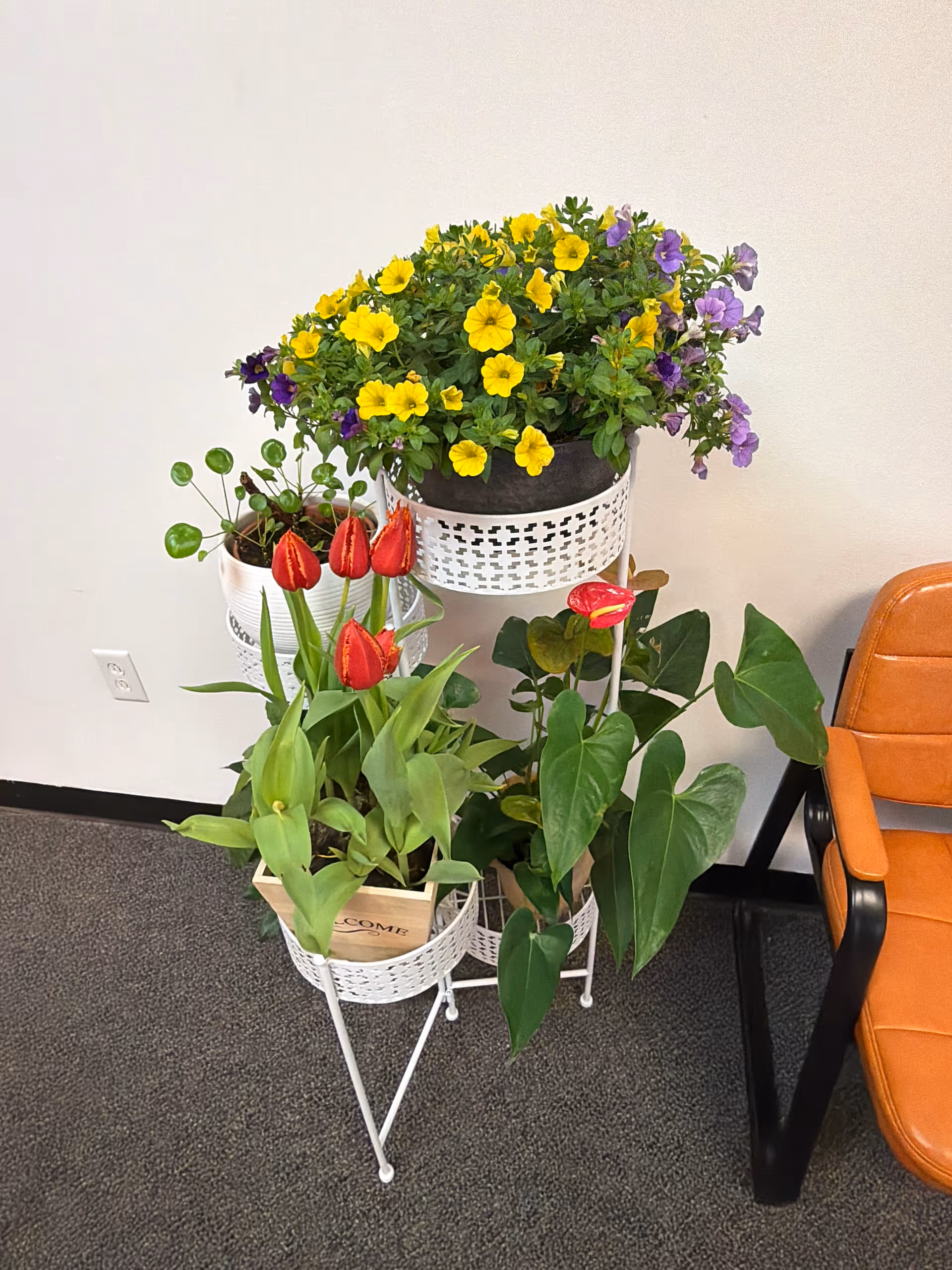 Indoor corner with white plant stands and colorful potted flowers beside an orange chair.