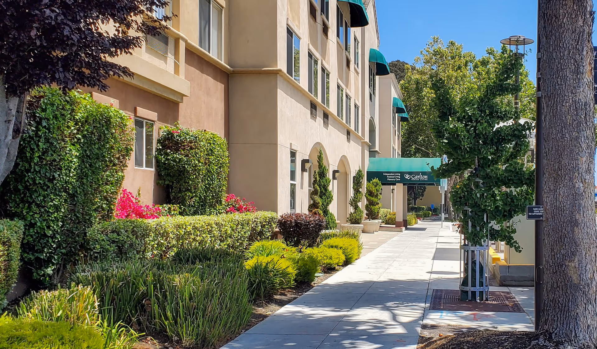 Exterior view of Carlton Senior Living San Leandro with sidewalk and entrance canopy.