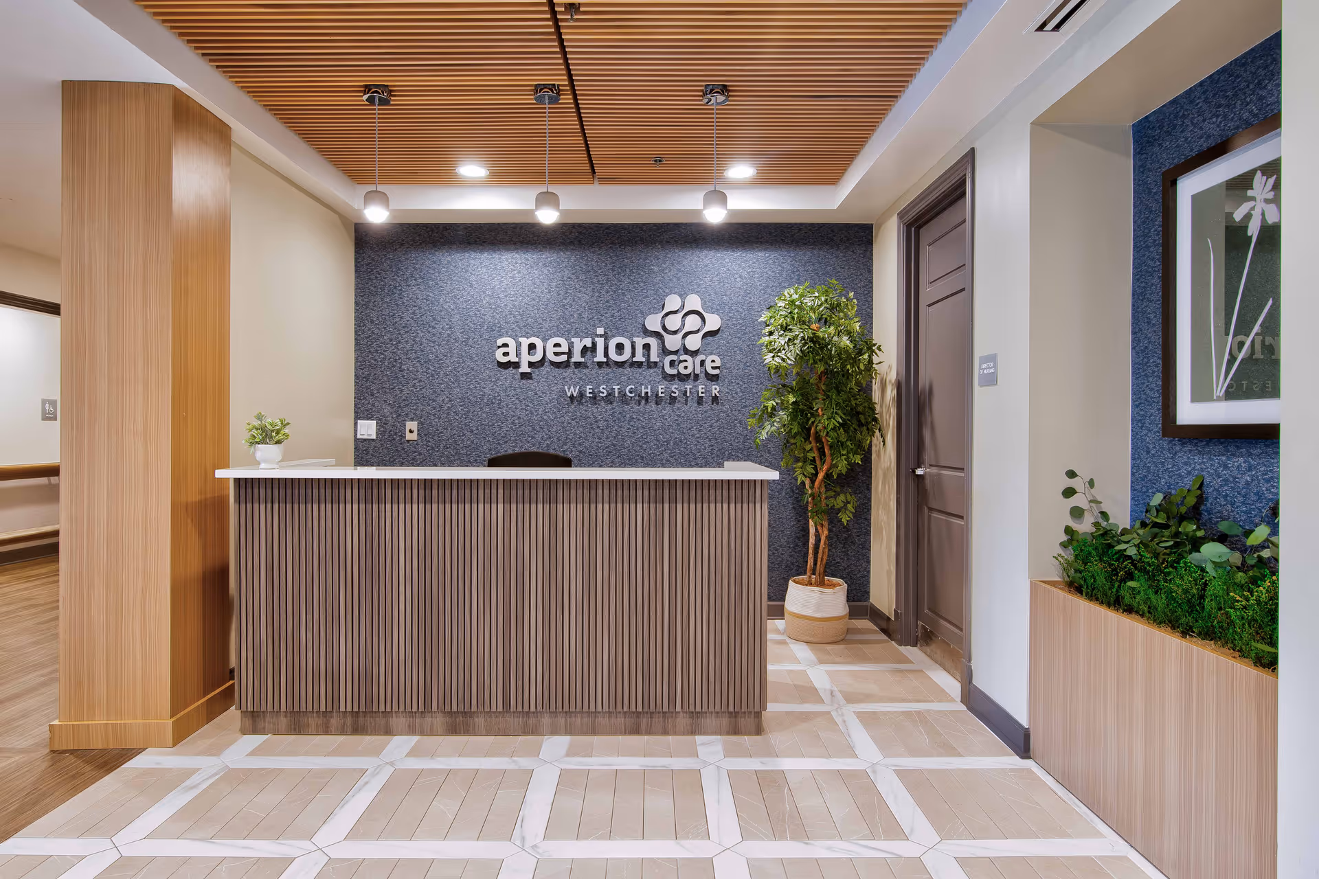 Reception area of Aperion Care Westchester featuring a wooden front desk, a potted plant to the right, a blue textured wall with the Aperion Care Westchester logo, wooden ceiling slats with hanging lights, and a framed picture on the right wall above a planter box with greenery.