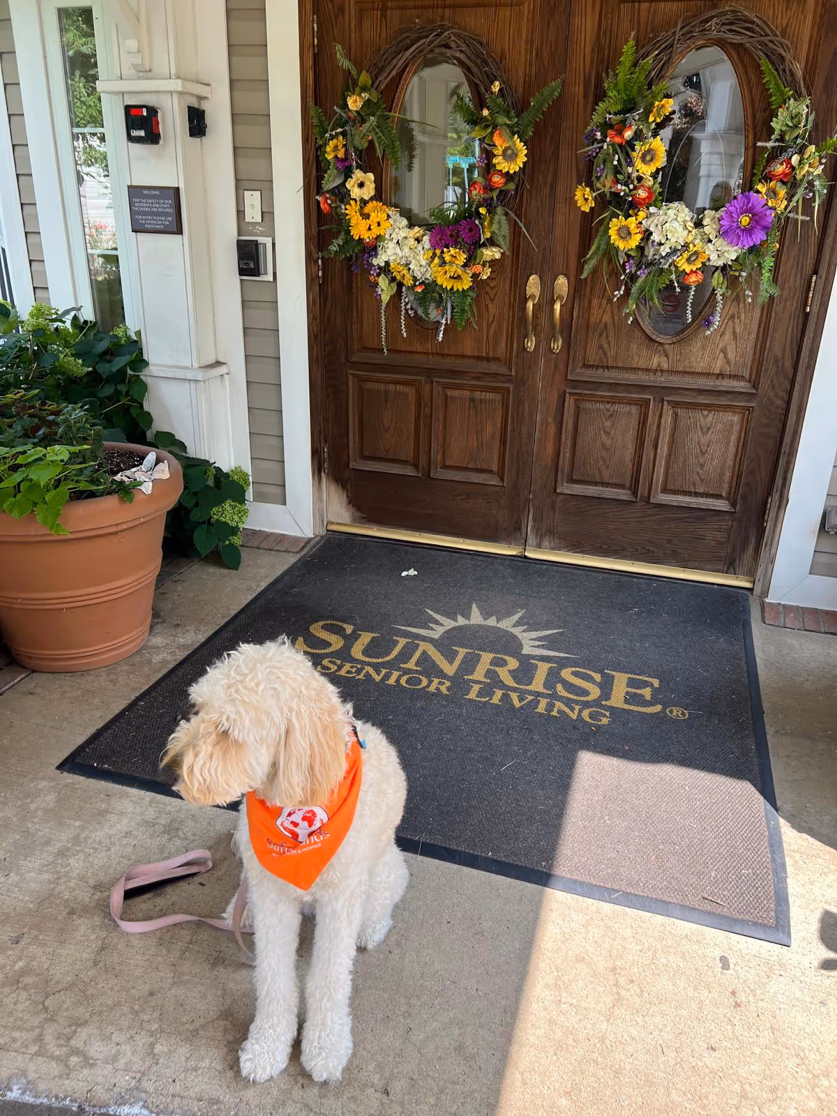 Entry doorway with decorative wreaths, Sunrise Senior Living mat, and a dog outside.
