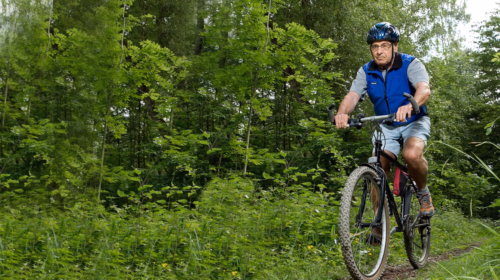An elderly man wearing a helmet rides a mountain bike along a forest trail.