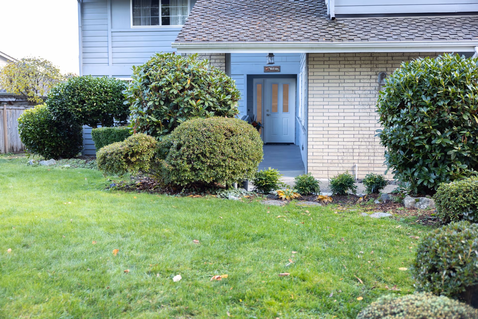 Front entrance of a residential care home with blue door and shrubs.
