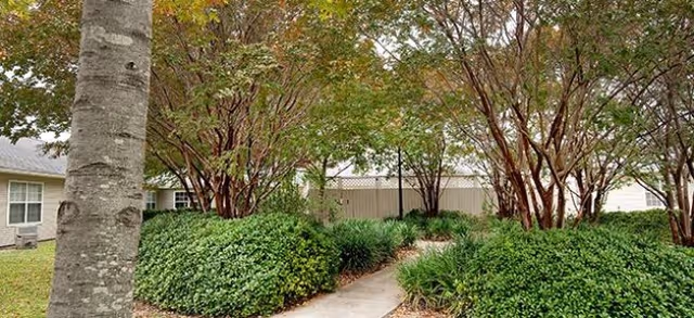 Pathway winds through trimmed hedges and trees outside Brookdale Hollywood Park.