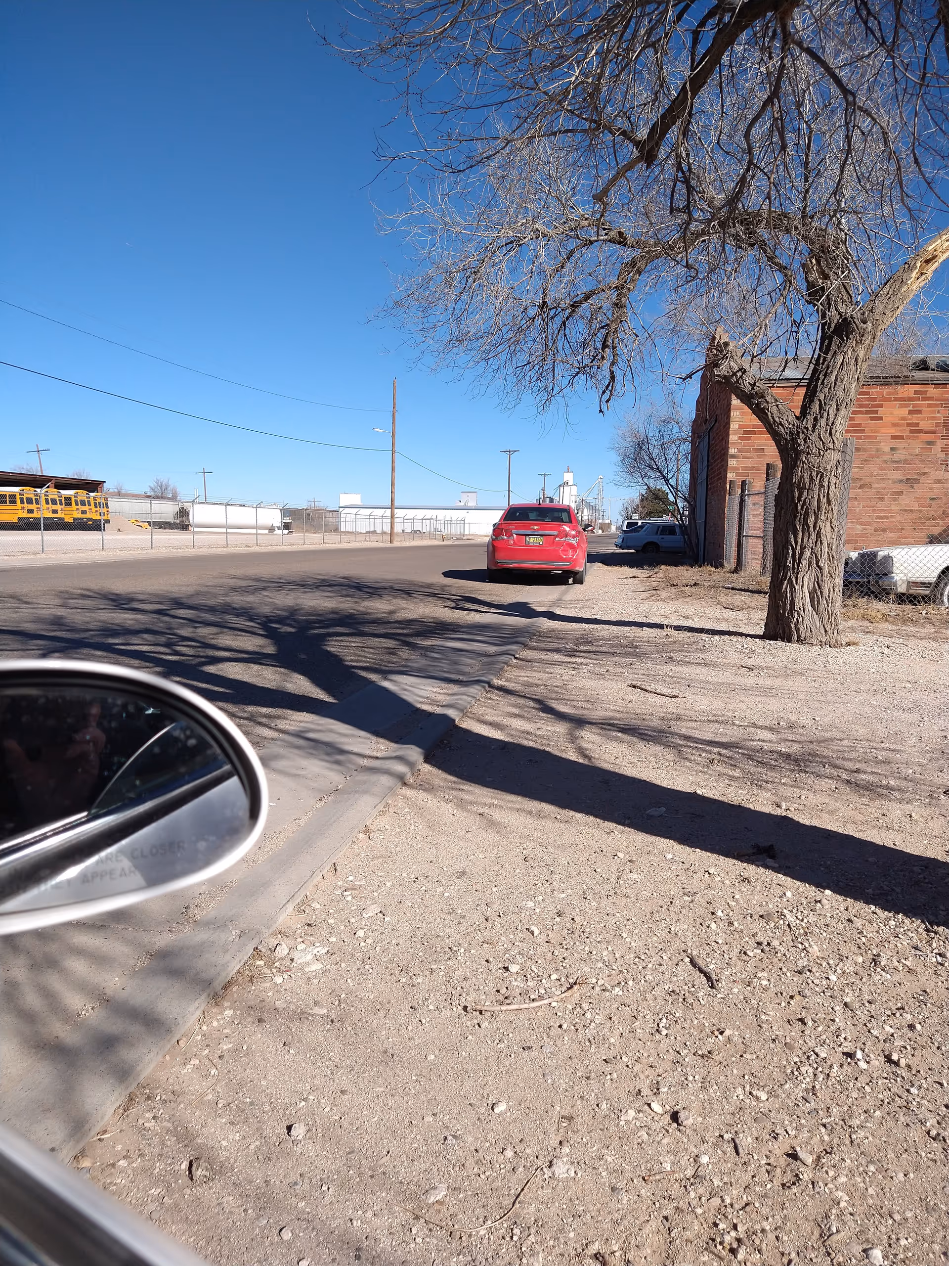 Outdoor street scene with a brick building, tree, parked cars, and car mirror.