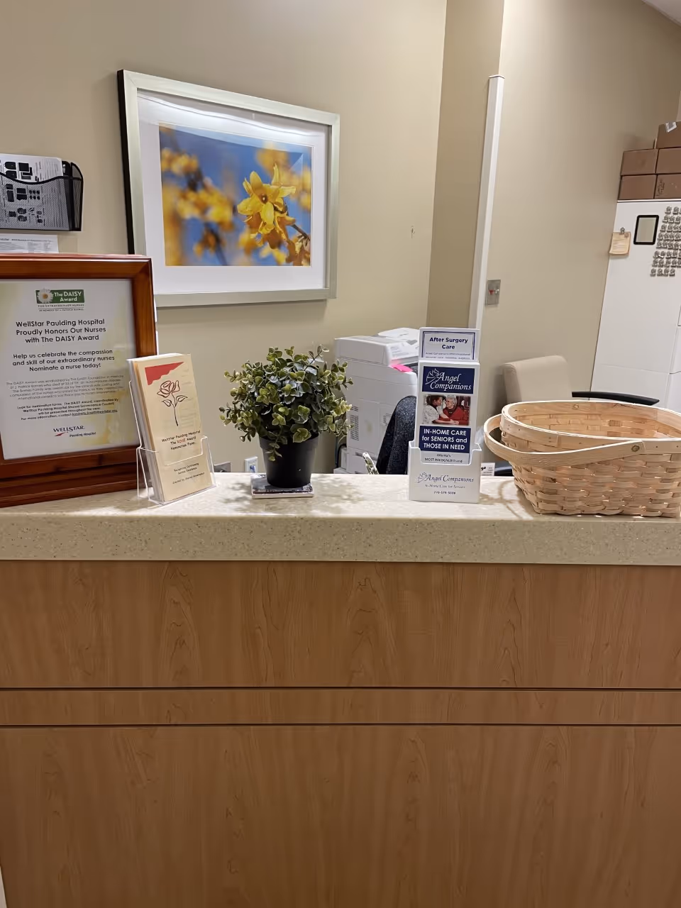 Front desk with pamphlets, plant, framed art, and a woven basket in a reception area.