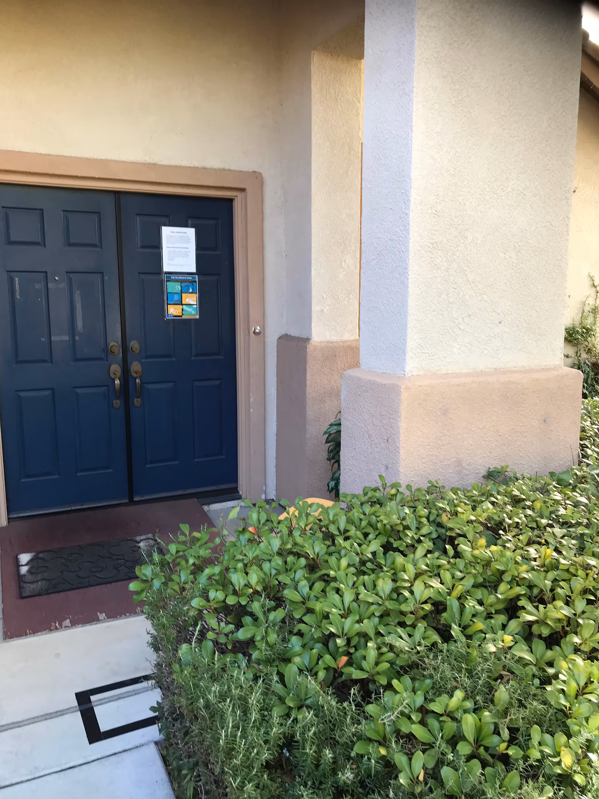 Blue double doors of a building entrance with beige walls and greenery.