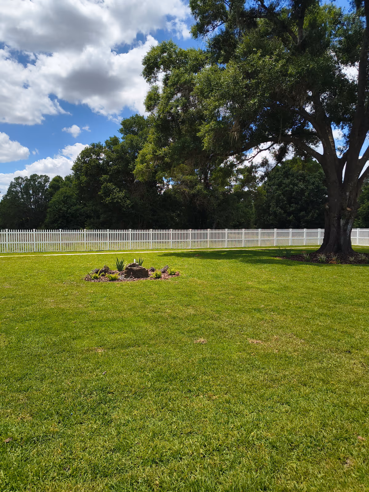 Sprawling green lawn with a large tree, small plant bed, and white picket fence.