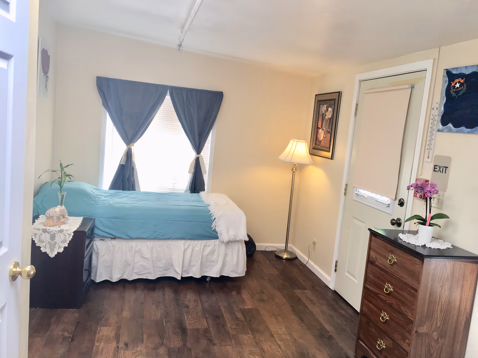 Cozy single-bedroom with turquoise bed, curtains, dresser, and orchid by a floor lamp.