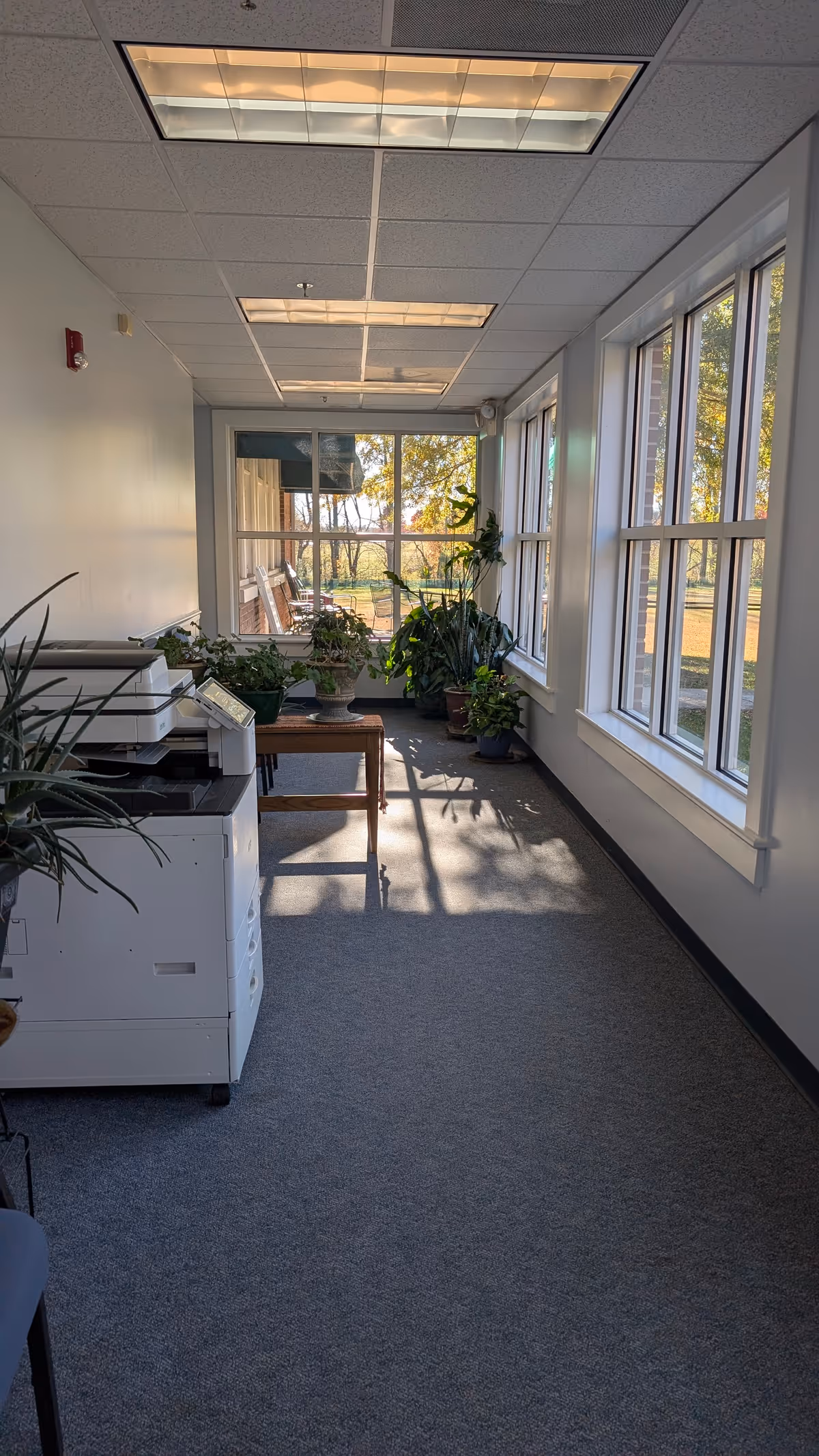 Bright indoor corridor with large windows along the right, potted plants, and office equipment.