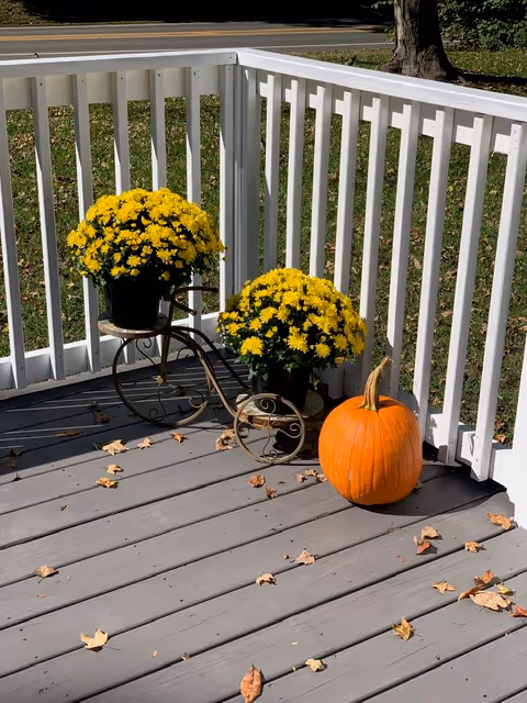 Two potted yellow chrysanthemums and a pumpkin sit on a white railing wooden deck outdoors.