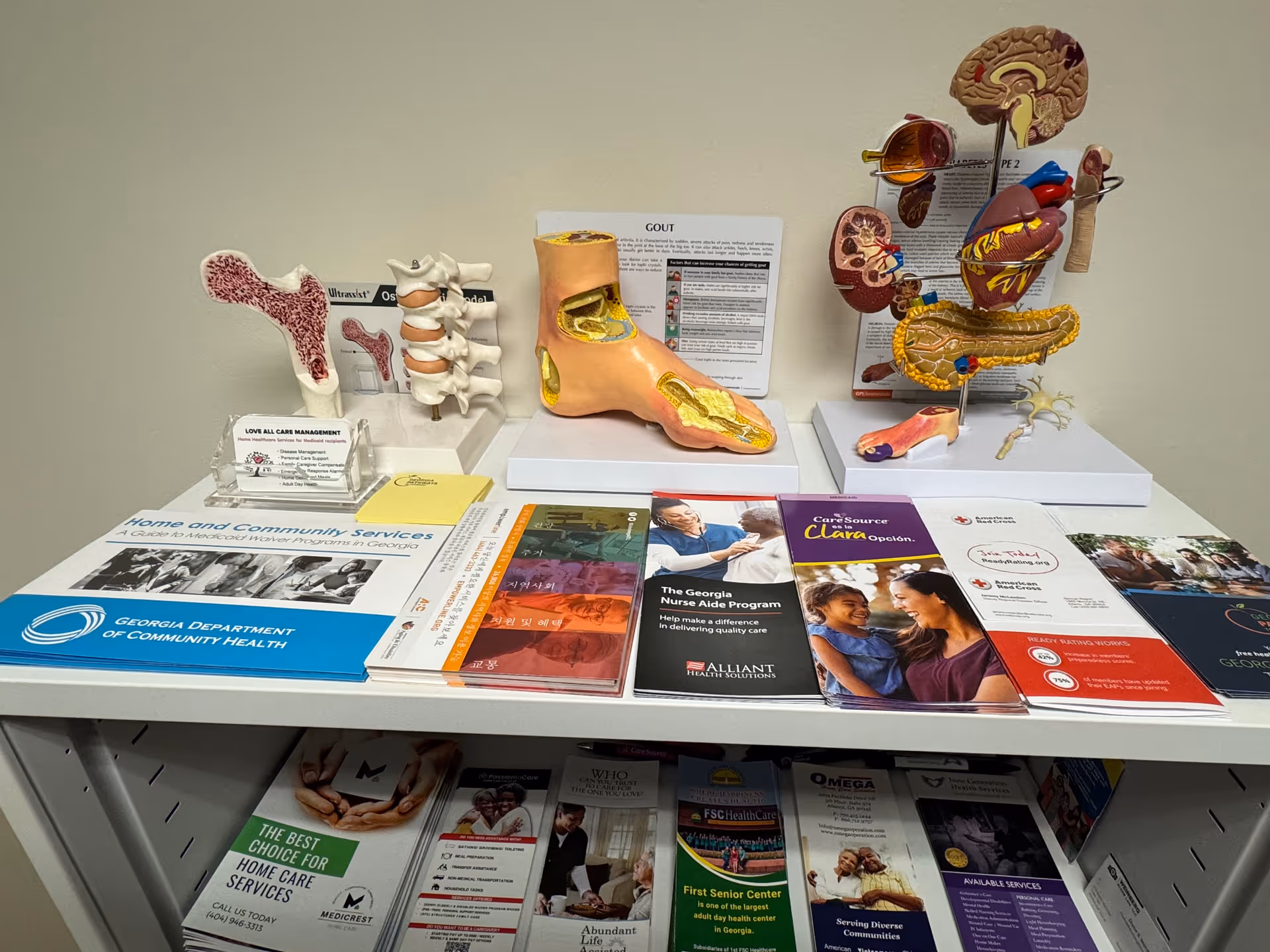 Love All Care Management informational display of medical models and brochures on a countertop.