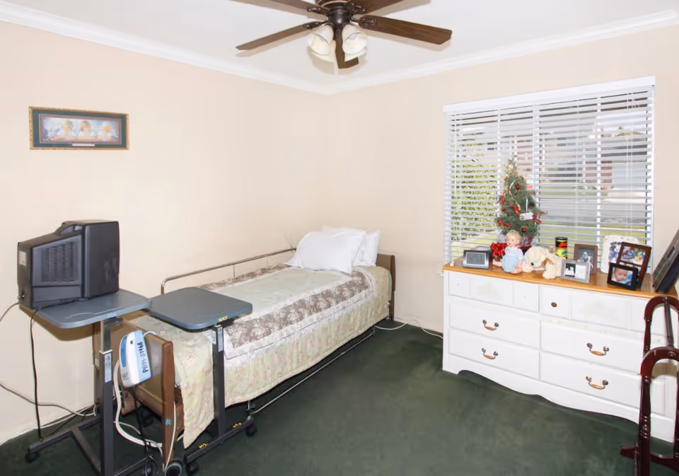 Single-bed bedroom with dresser, TV, ceiling fan, and a small Christmas tree.