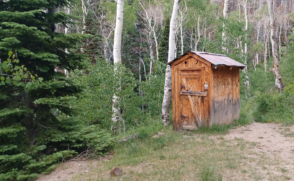 A rustic wooden outhouse stands beside trees in a forested, grassy clearing.