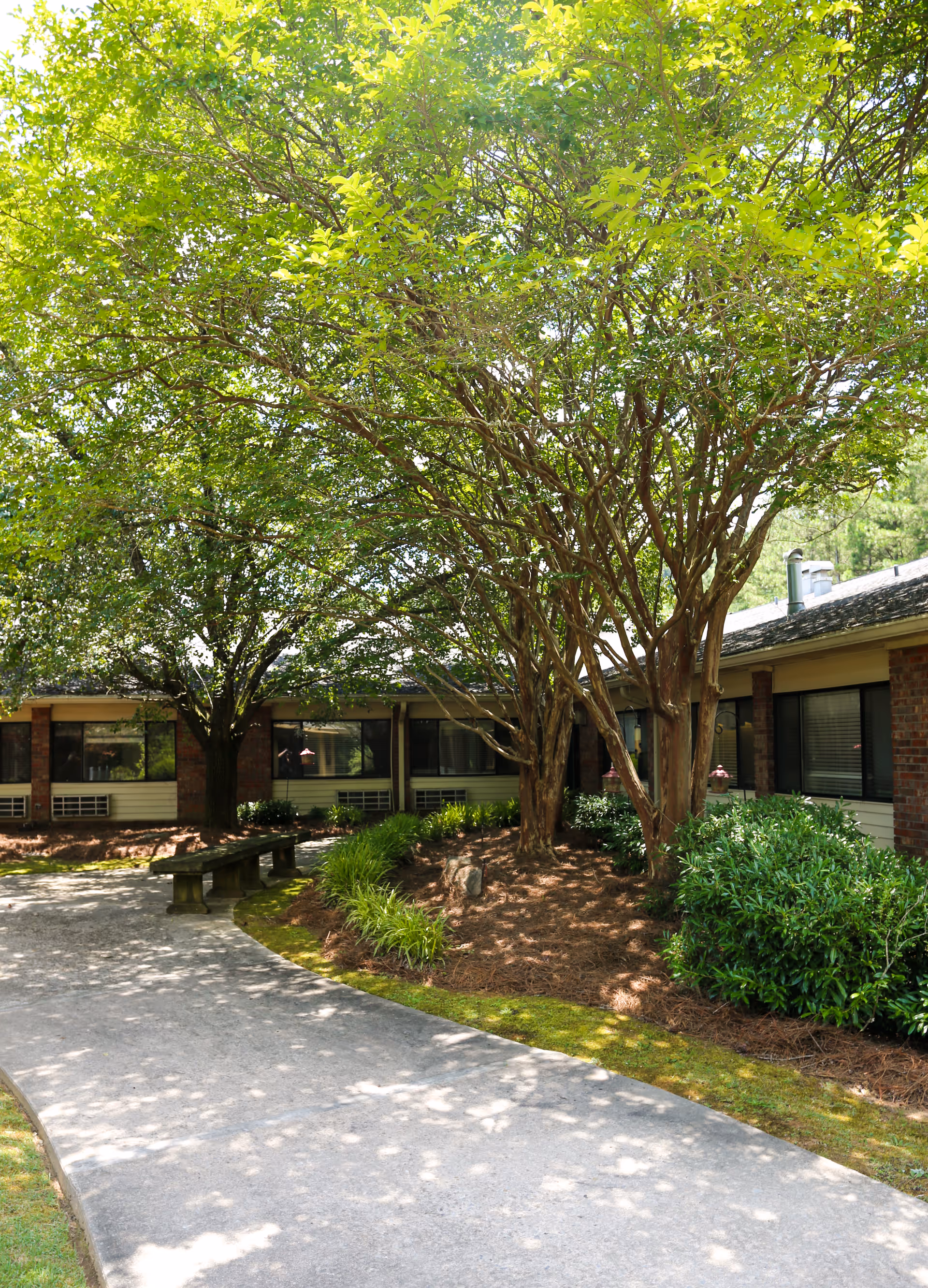 A curved concrete pathway surrounded by green bushes and trees leading to a single-story brick building with large windows, under bright daylight.