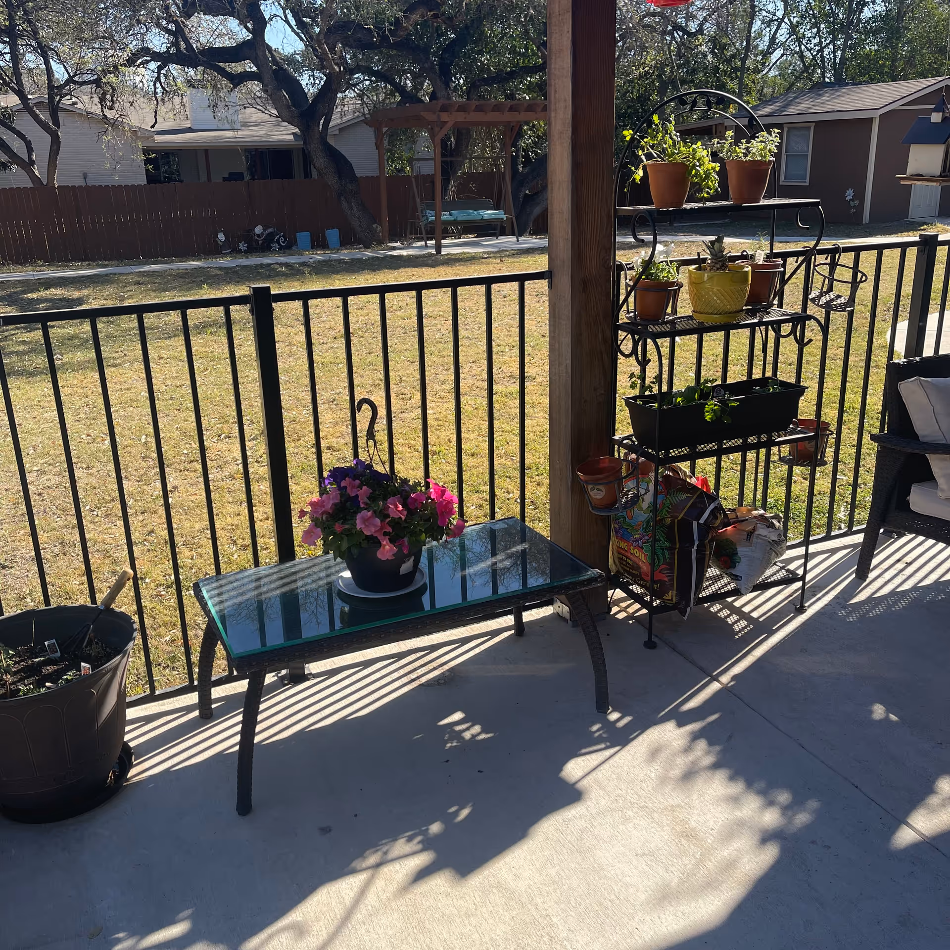 Outdoor patio area with a black metal railing, a glass-top table holding a pot of pink and purple flowers, a black metal plant stand with multiple potted plants and gardening supplies, and a cushioned chair. In the background, there is a grassy yard with trees, a wooden pergola swing, and neighboring houses.