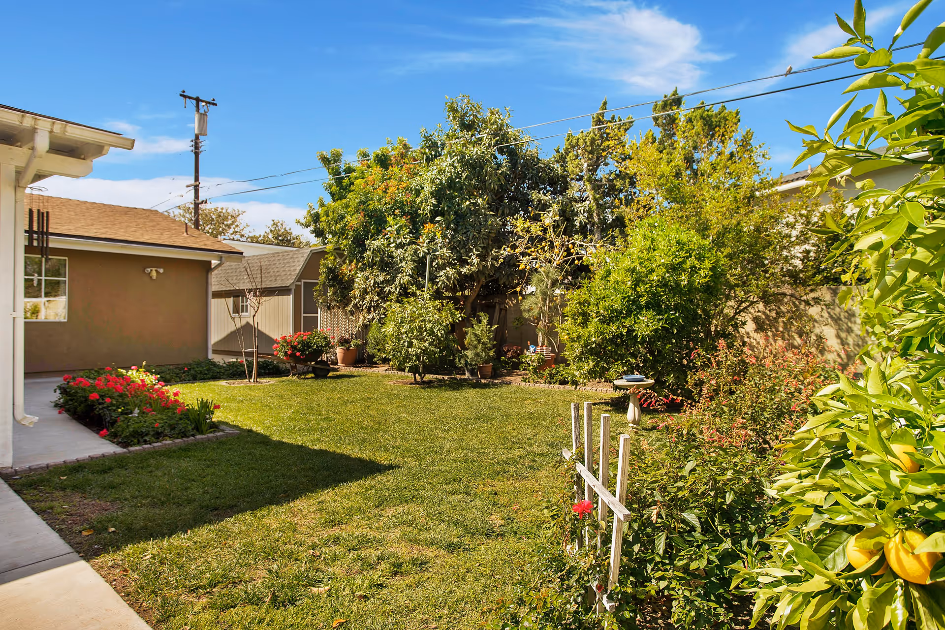 A sunny garden area with green grass, various trees and bushes, potted plants, and a small shed. The sky is clear with a few clouds, and there is a concrete walkway along the left side of the garden.