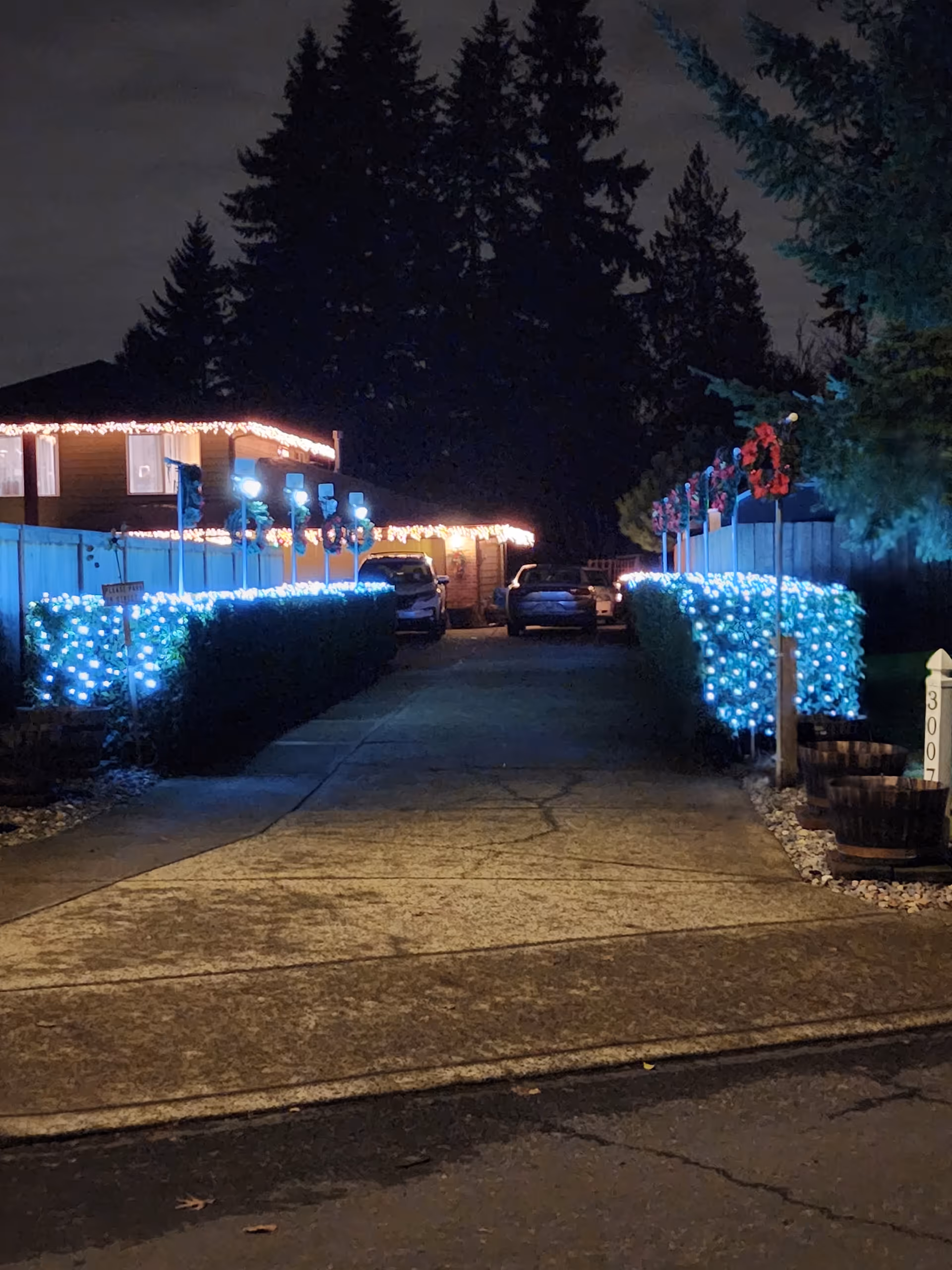 Night view of a facility entrance drive with blue-white holiday lights along hedges.
