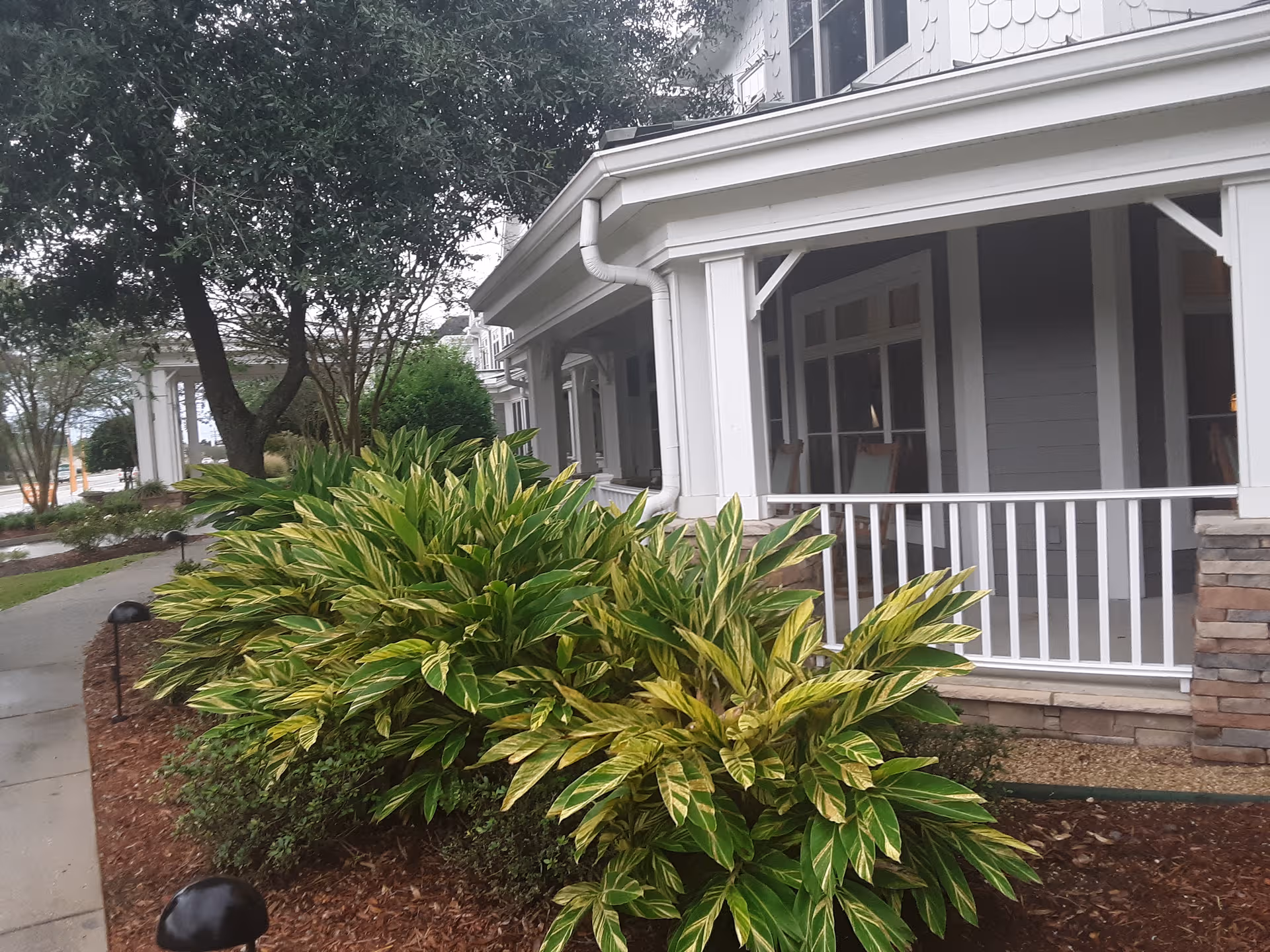 Exterior view of Sunrise at Siegen with a porch, railing, and lush green shrubs.