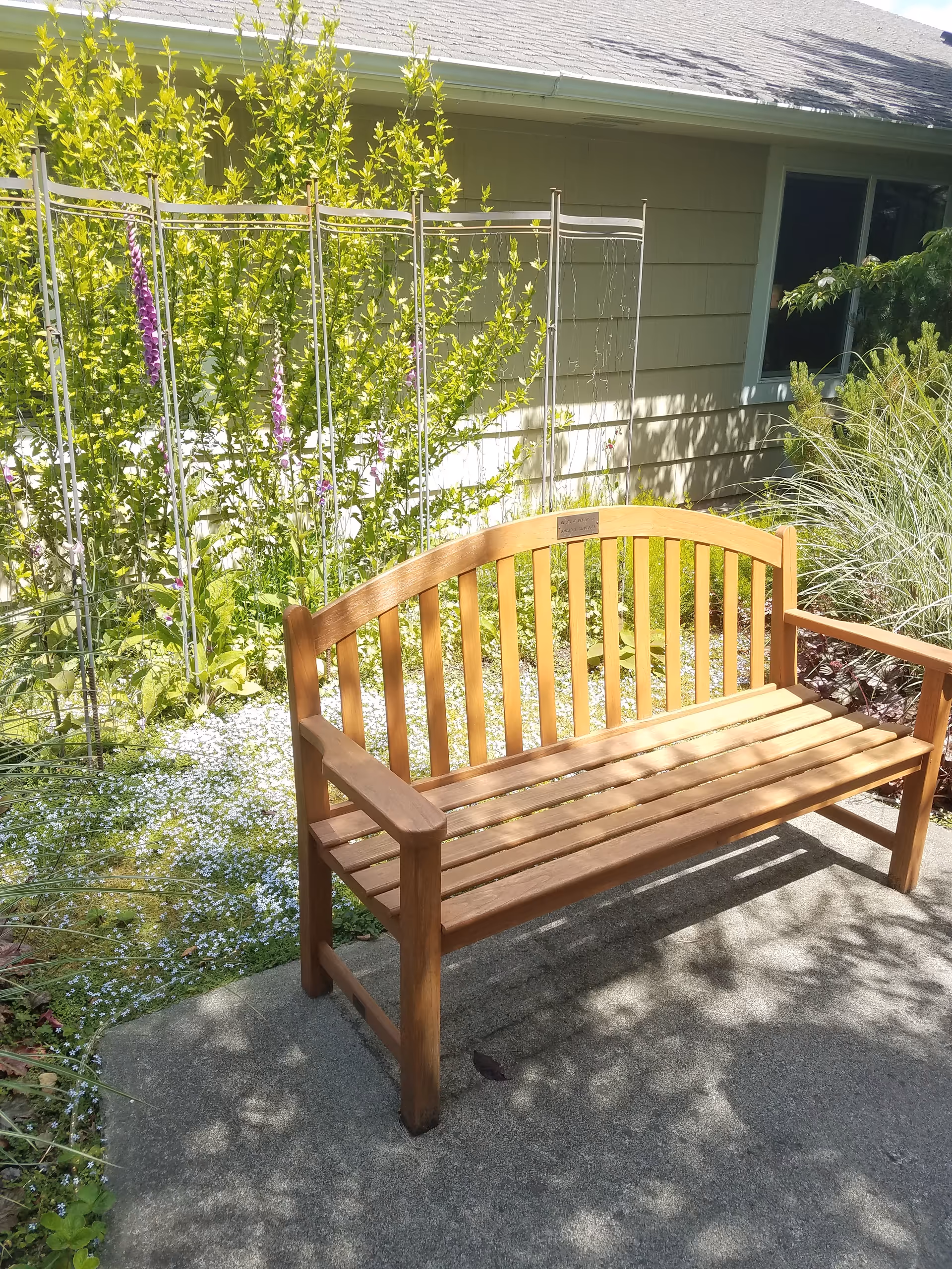 Wooden bench on a concrete patio with greenery and a residential exterior.