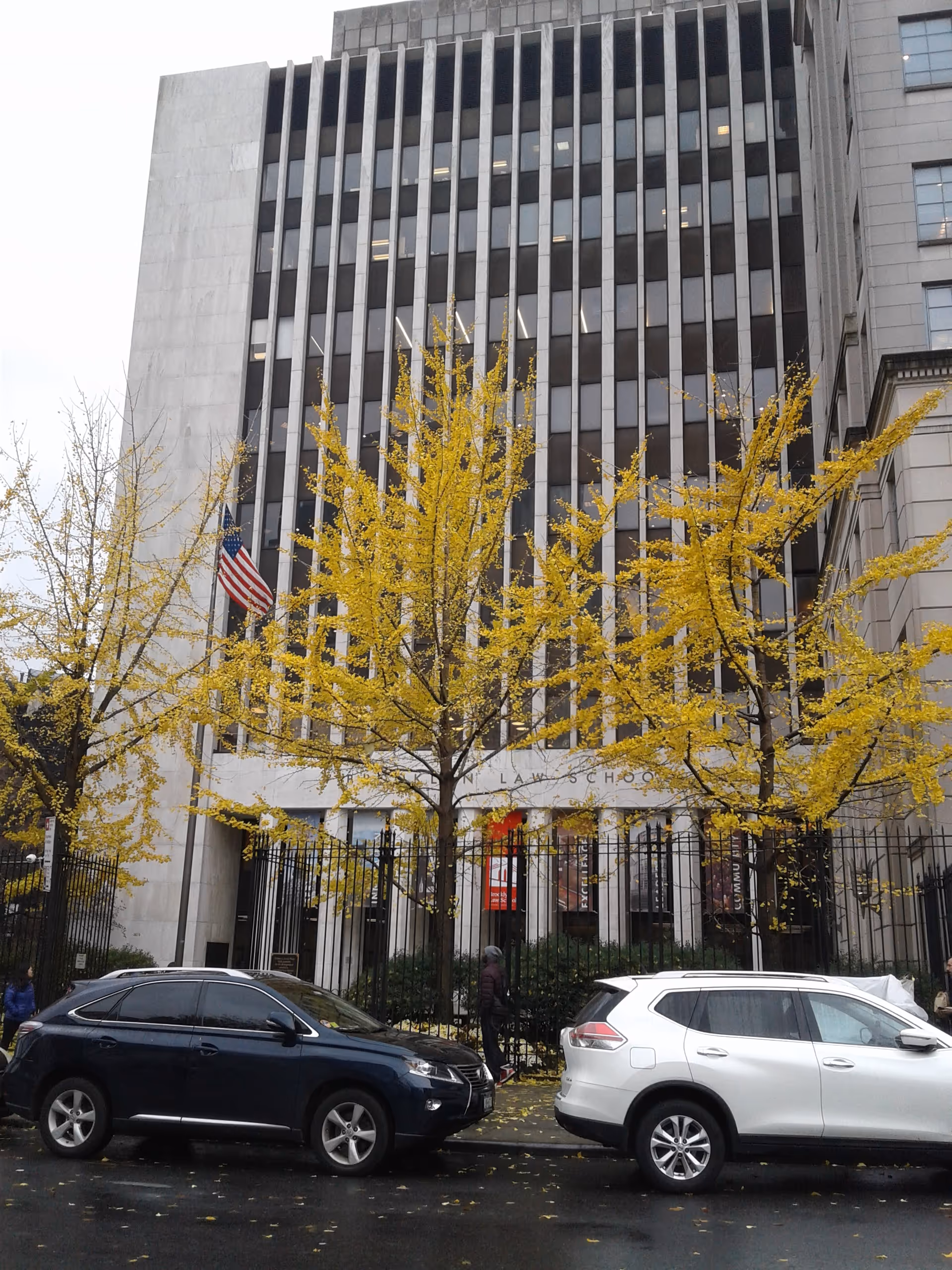 Tall modern building with vertical windows, yellow autumn trees, and parked cars on street