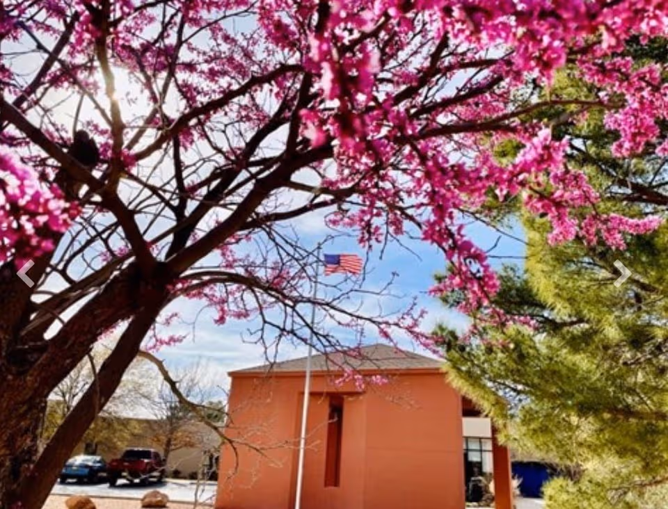 Peach-colored building exterior framed by pink blossoms and a flagpole with American flag.