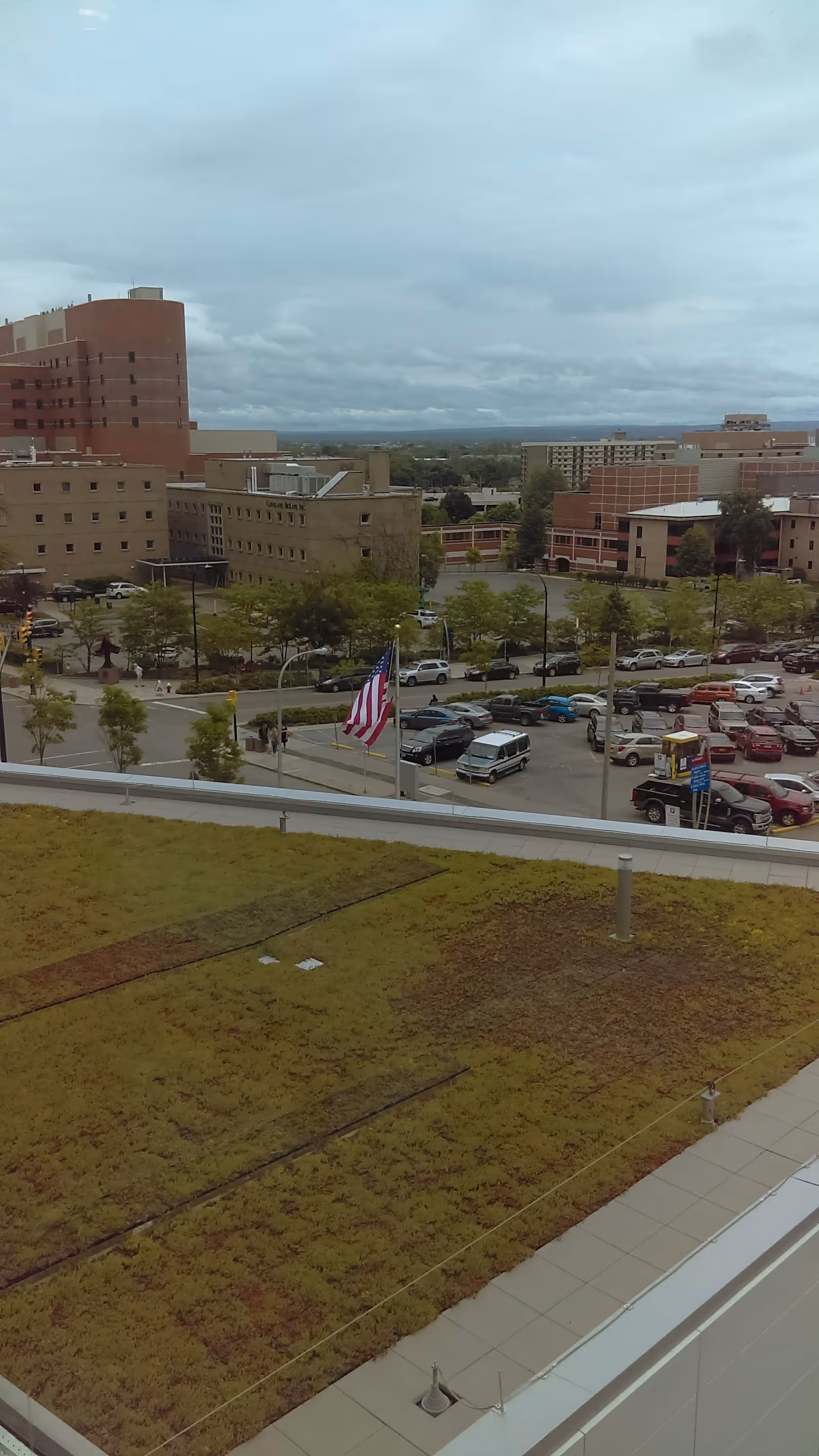 View of a medical campus from a rooftop garden overlooking parking lots and buildings.