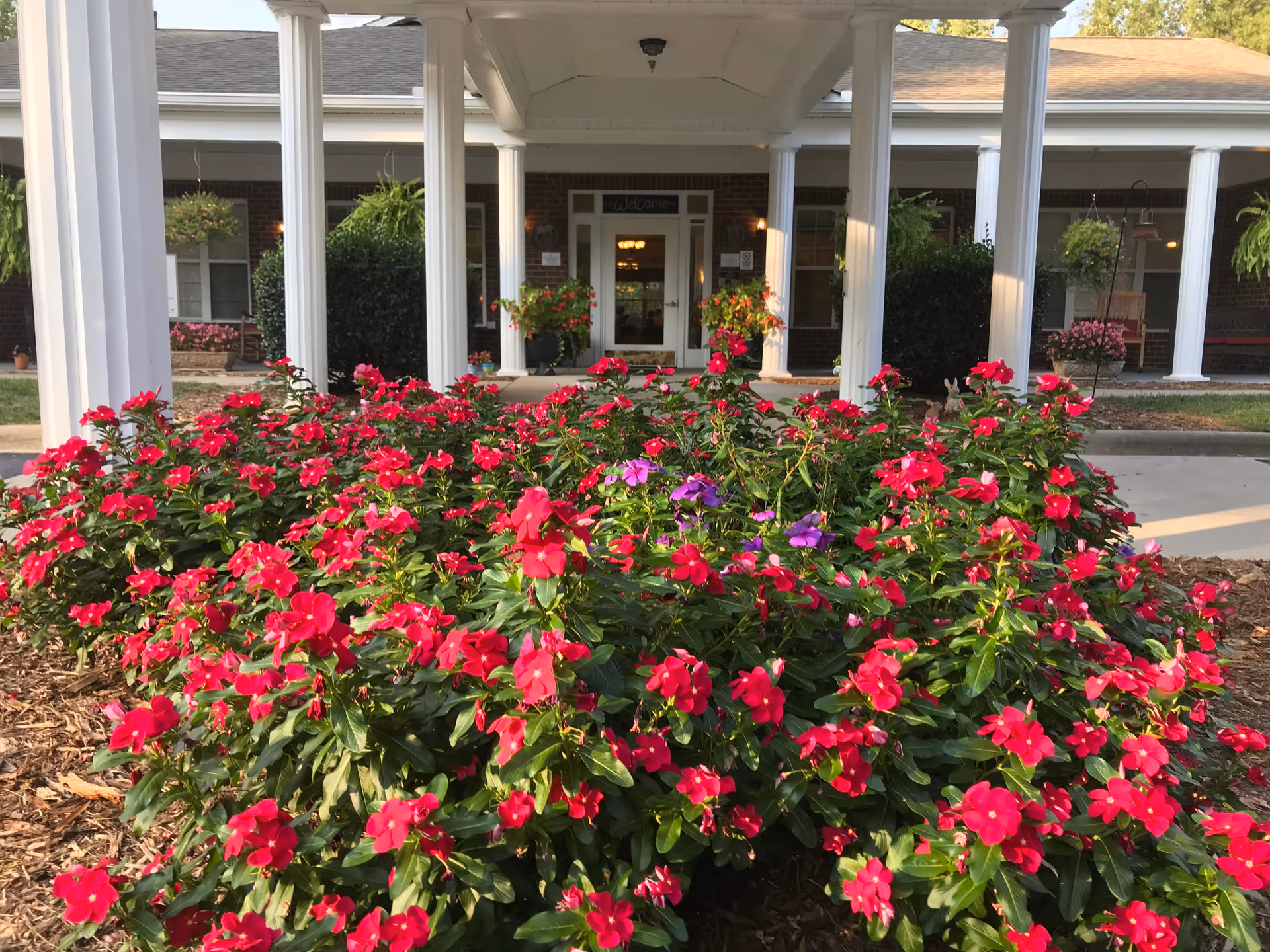 Front entrance of Brookdale Reynolda Road surrounded by vibrant pink flowers and white columns.