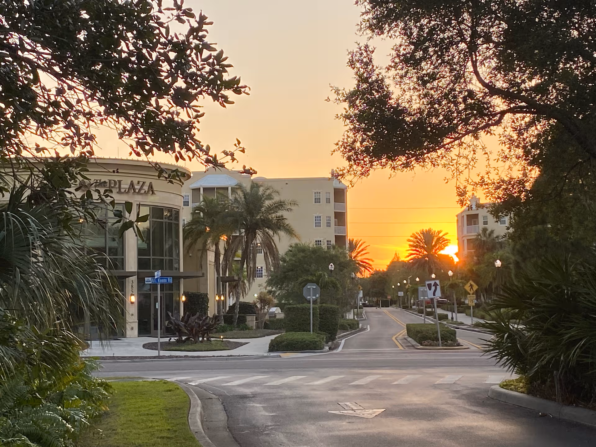 Sunset view of The Palms of Largo exterior with palm trees and a curved entrance.